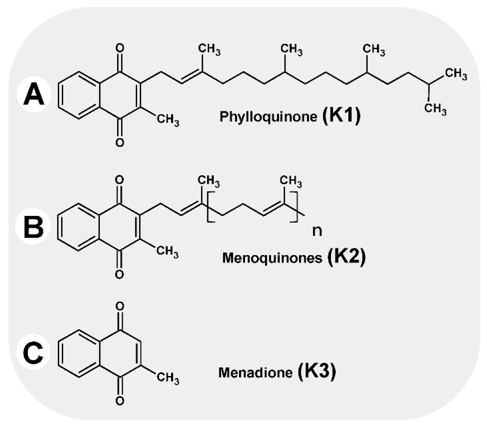 Nutrients 14 04219 g001 Nutrients 14 04219 g001