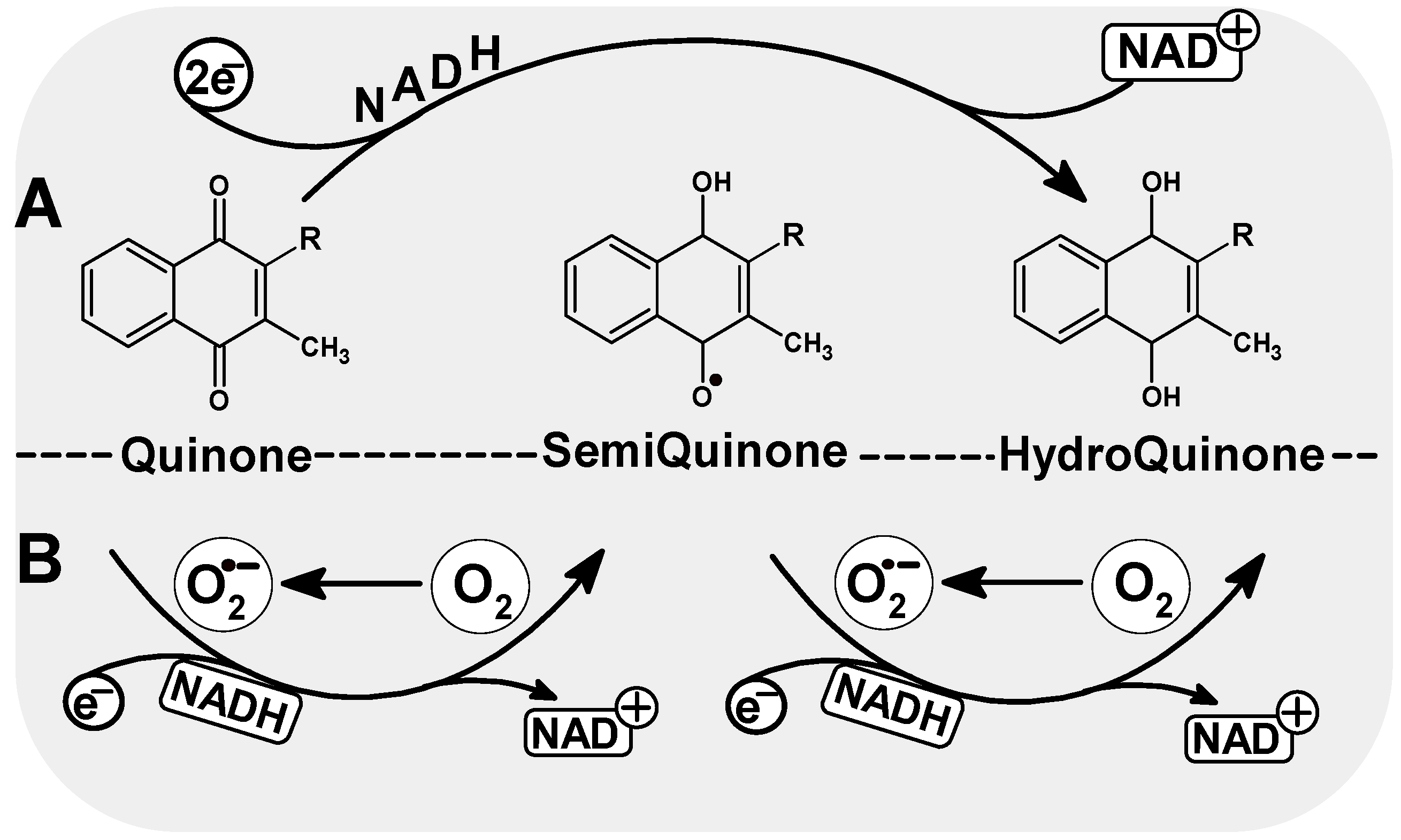 Nutrients 14 04219 g003 Nutrients 14 04219 g003