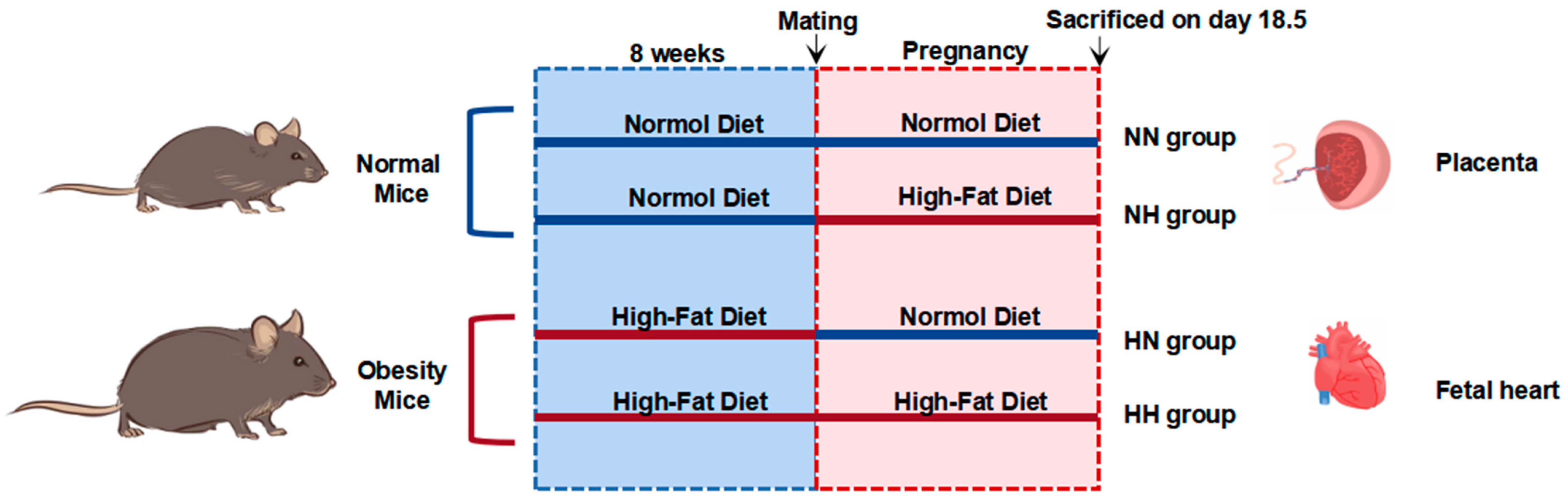 Nutrients 14 04237 g001 Nutrients 14 04237 g001