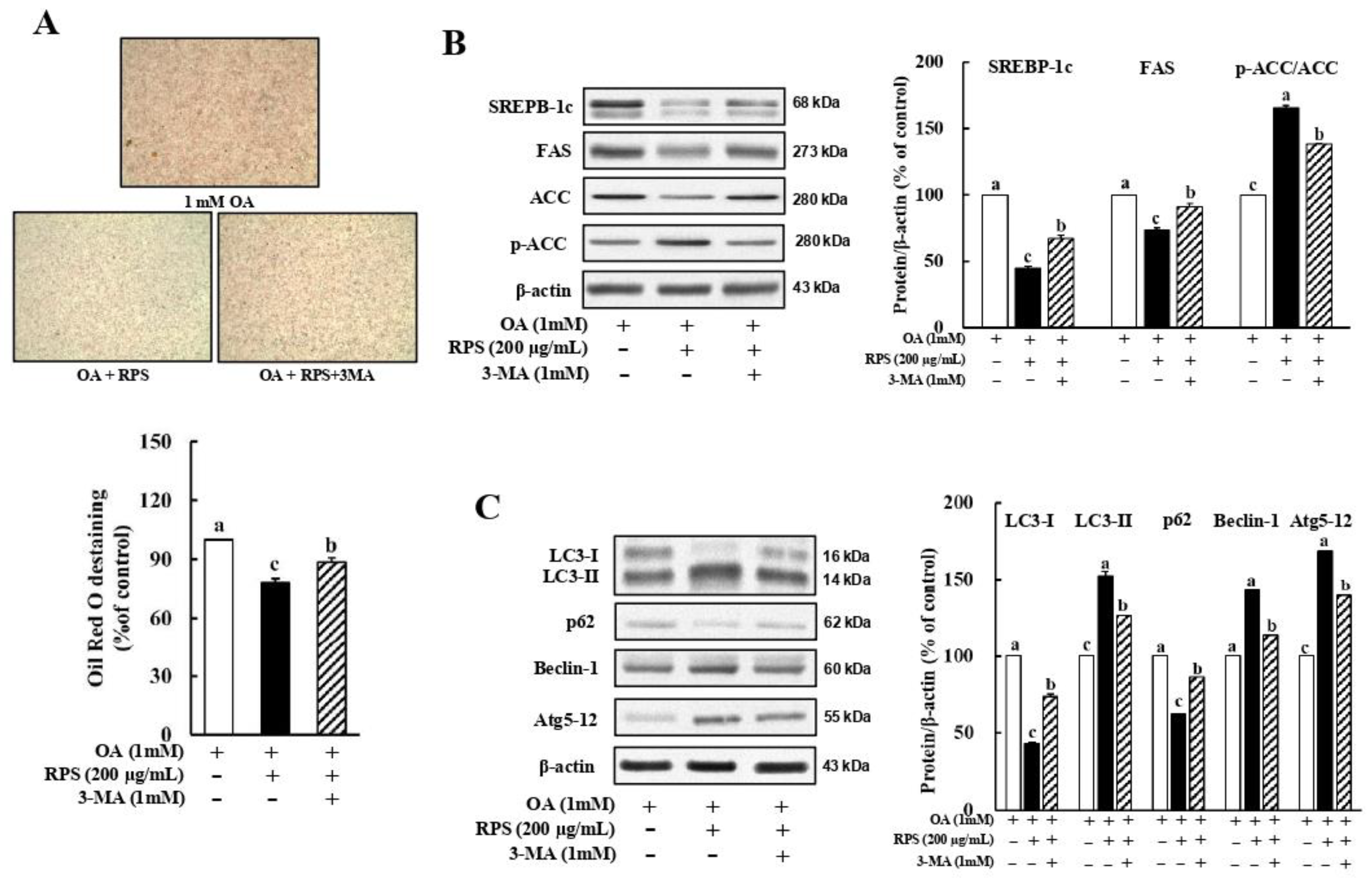 Nutrients 14 04247 g005