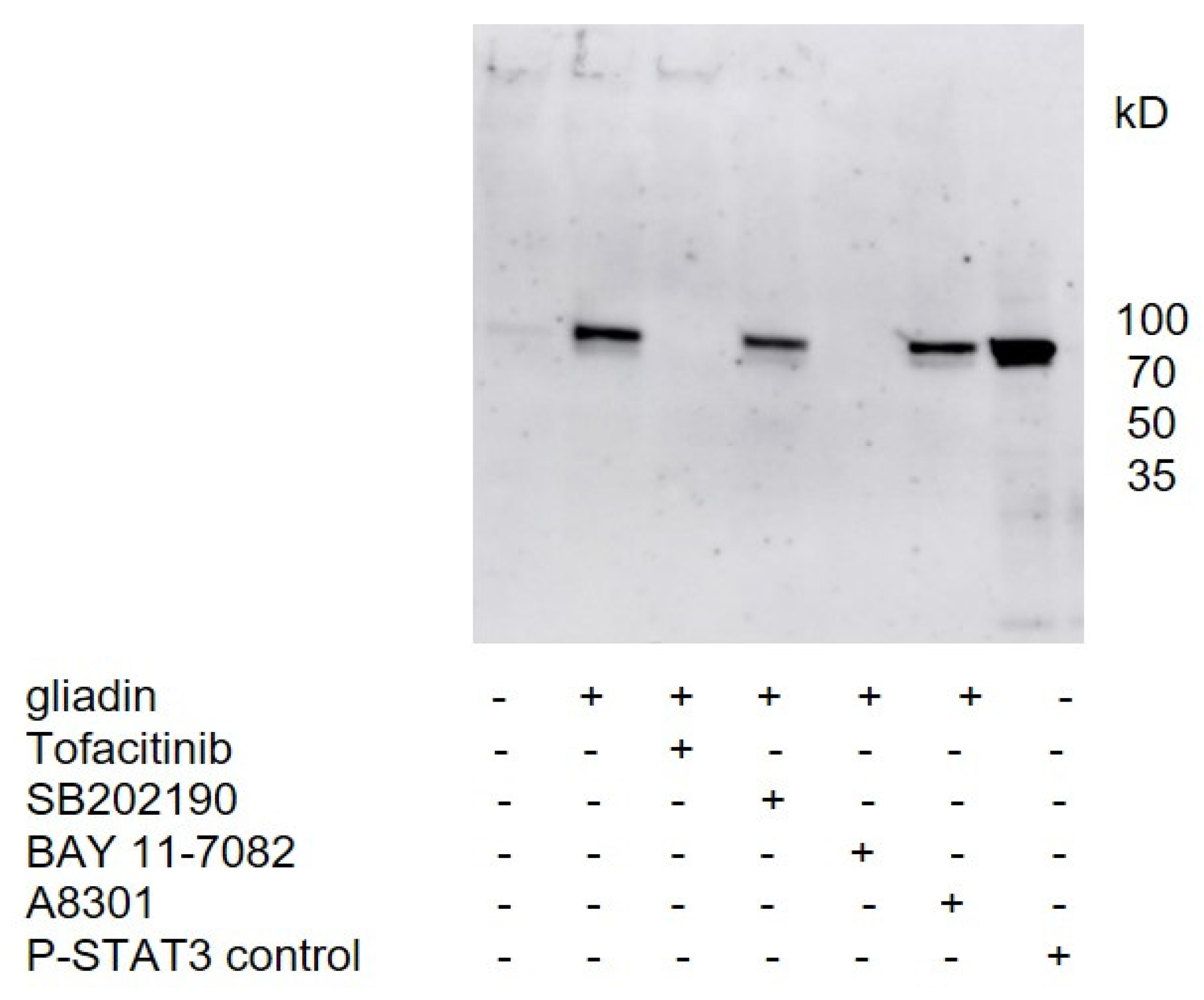 Nutrients 14 04257 g003