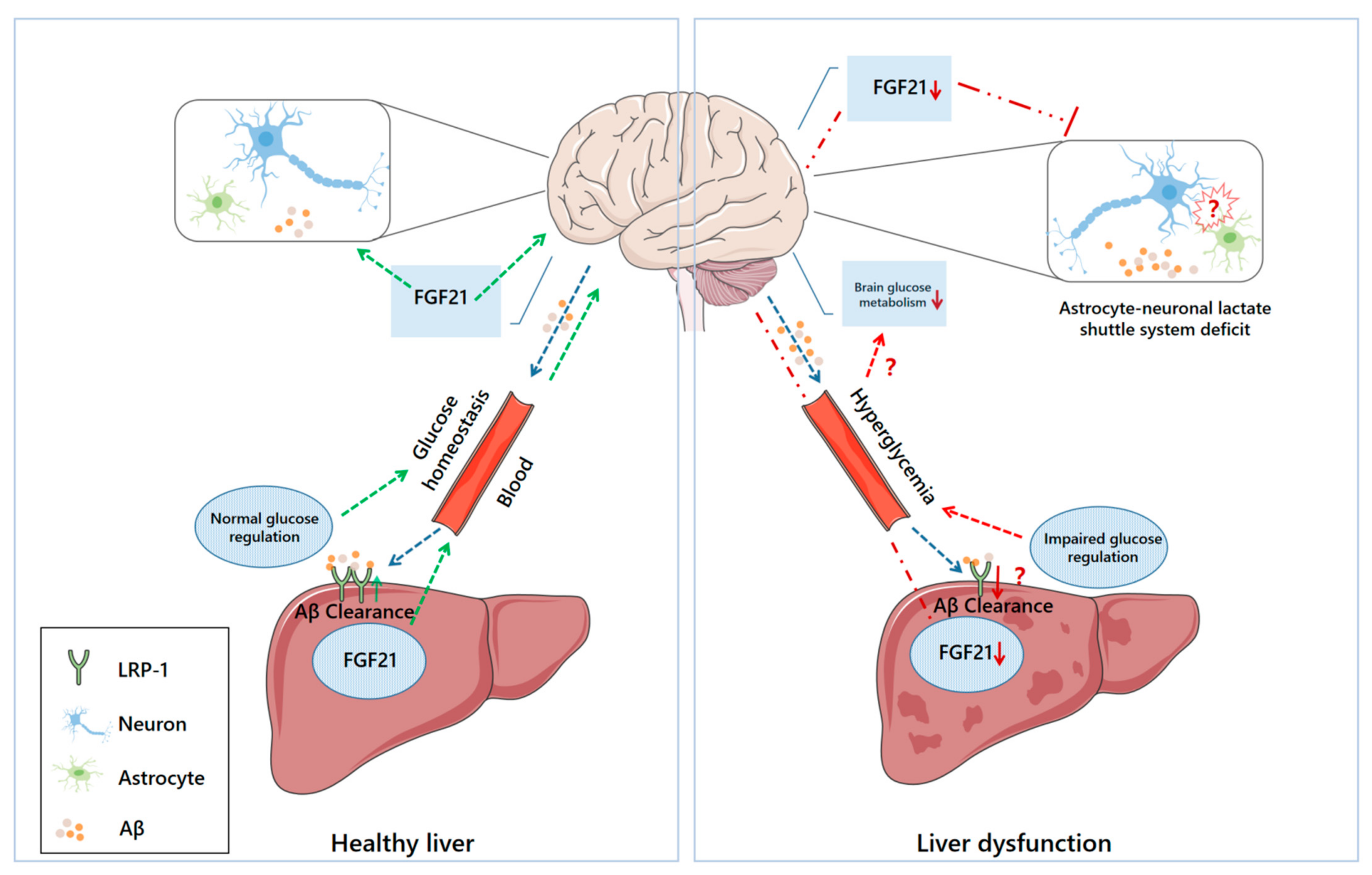 Nutrients 14 04298 g001