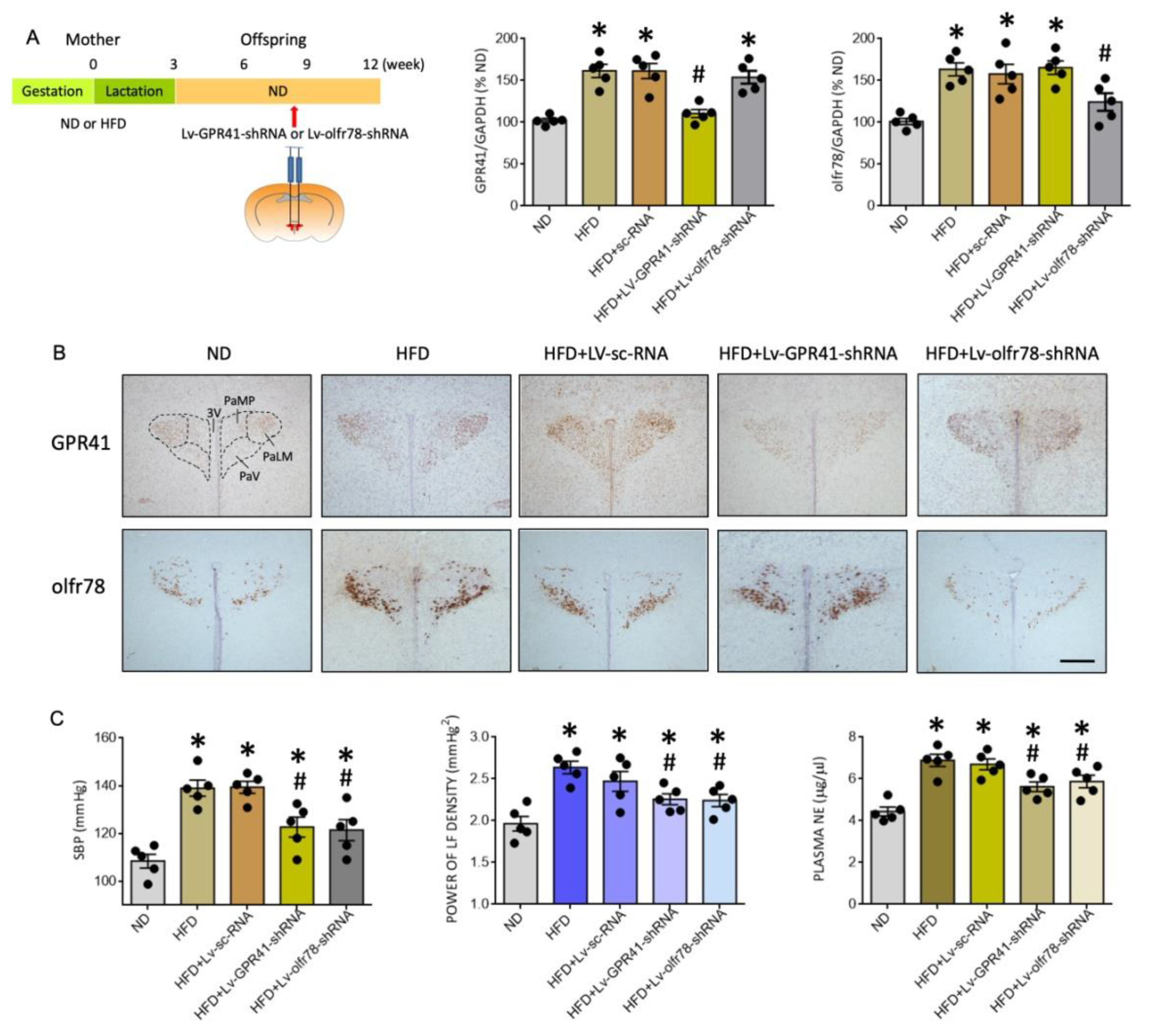 Nutrients 14 04306 g006