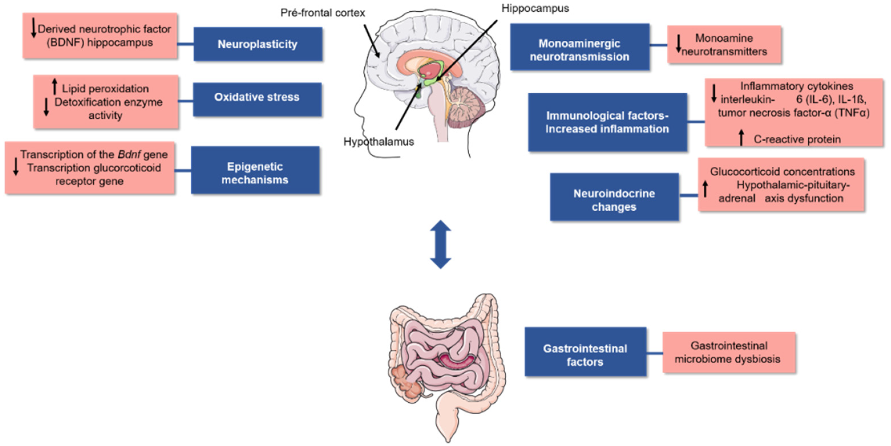 Nutrients 14 04309 g001