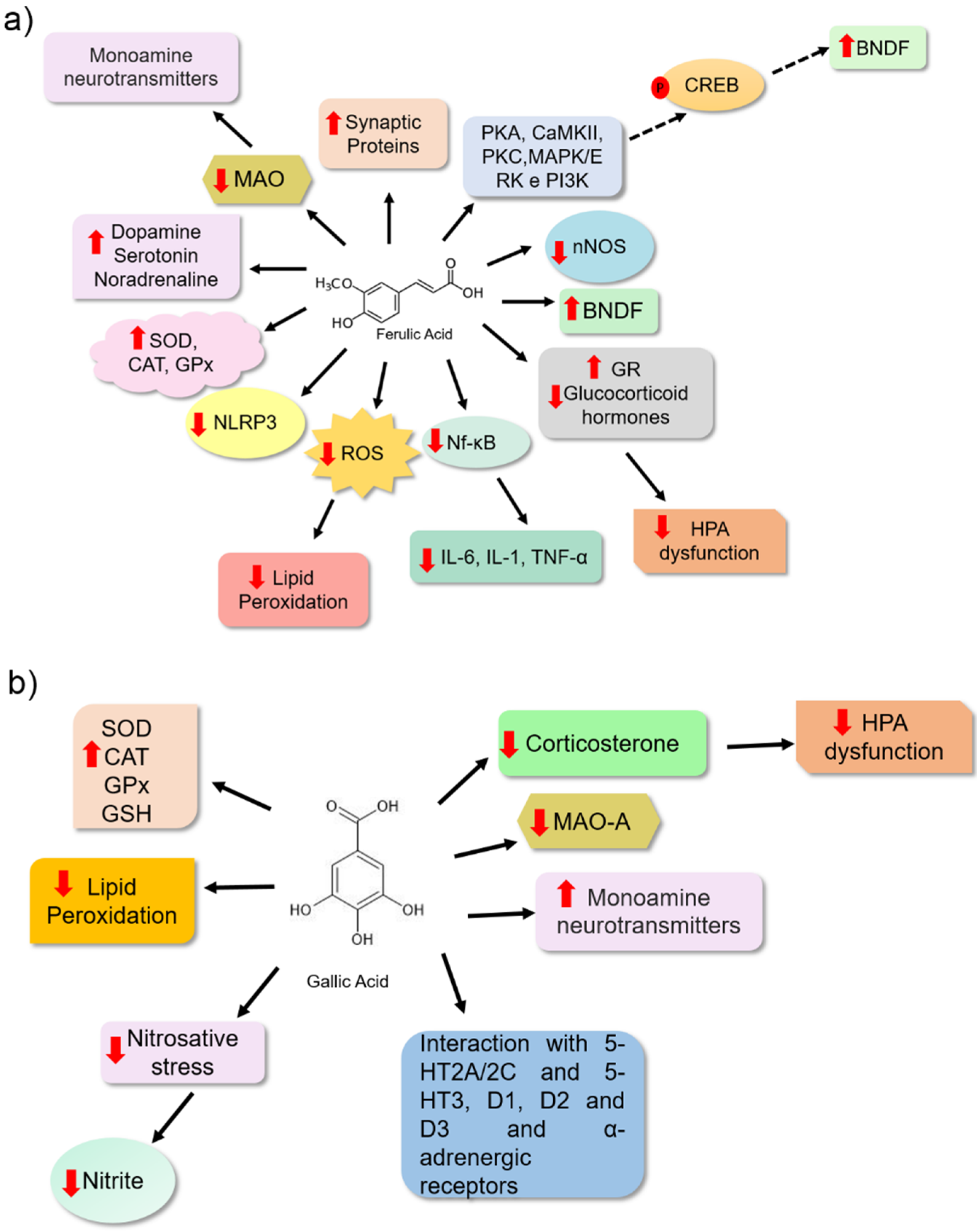 Nutrients 14 04309 g004