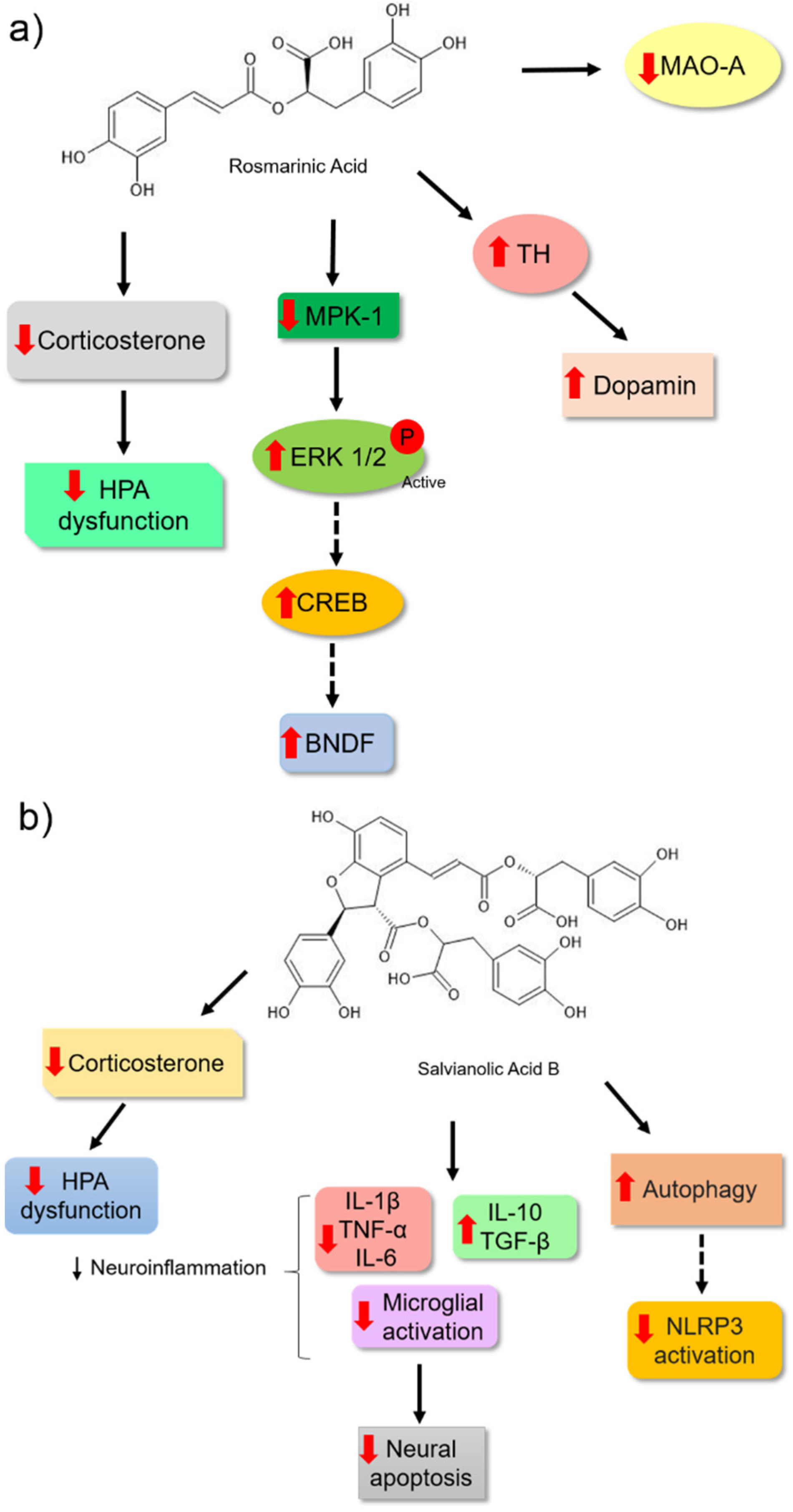 Nutrients 14 04309 g007