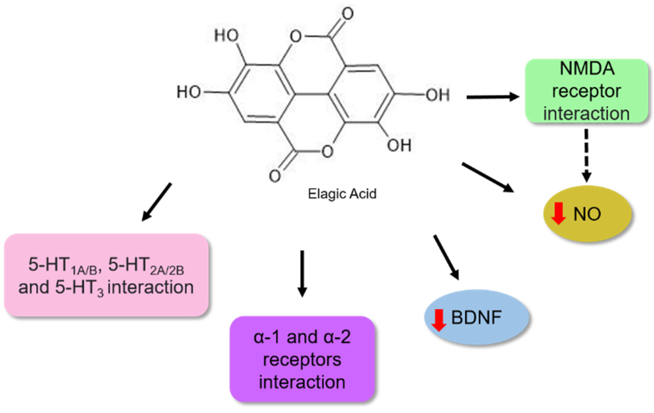 Nutrients 14 04309 g008