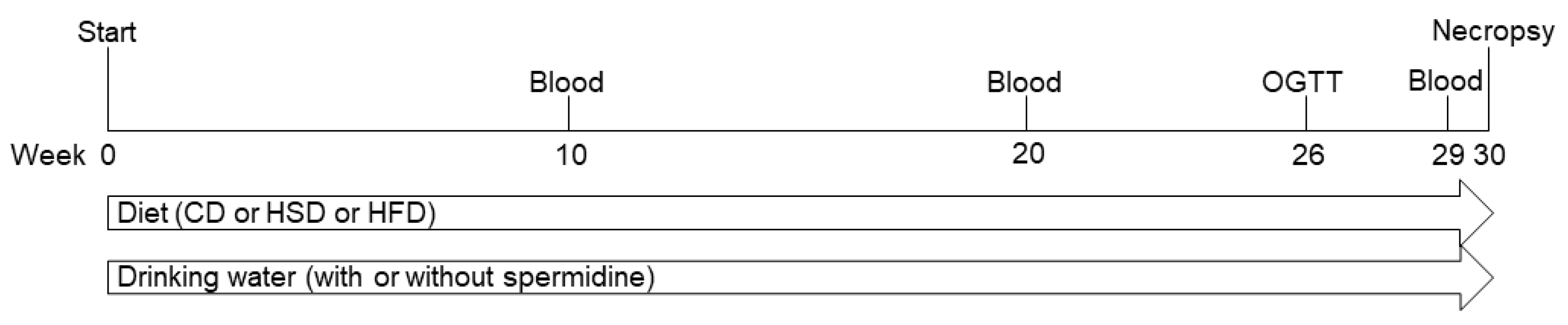 Nutrients 14 04318 g001 Nutrients 14 04318 g001