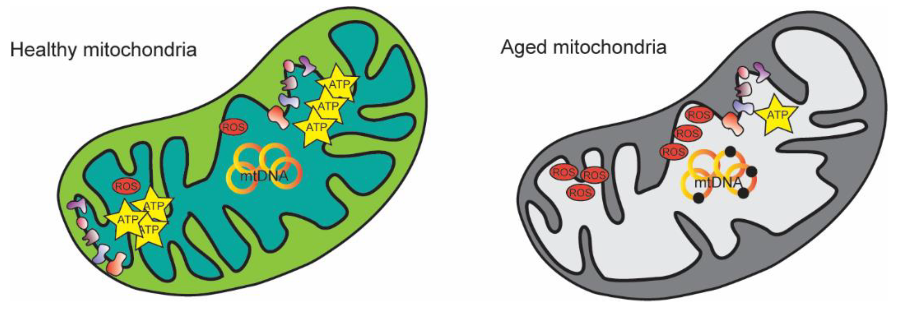 Nutrients 14 04326 g001