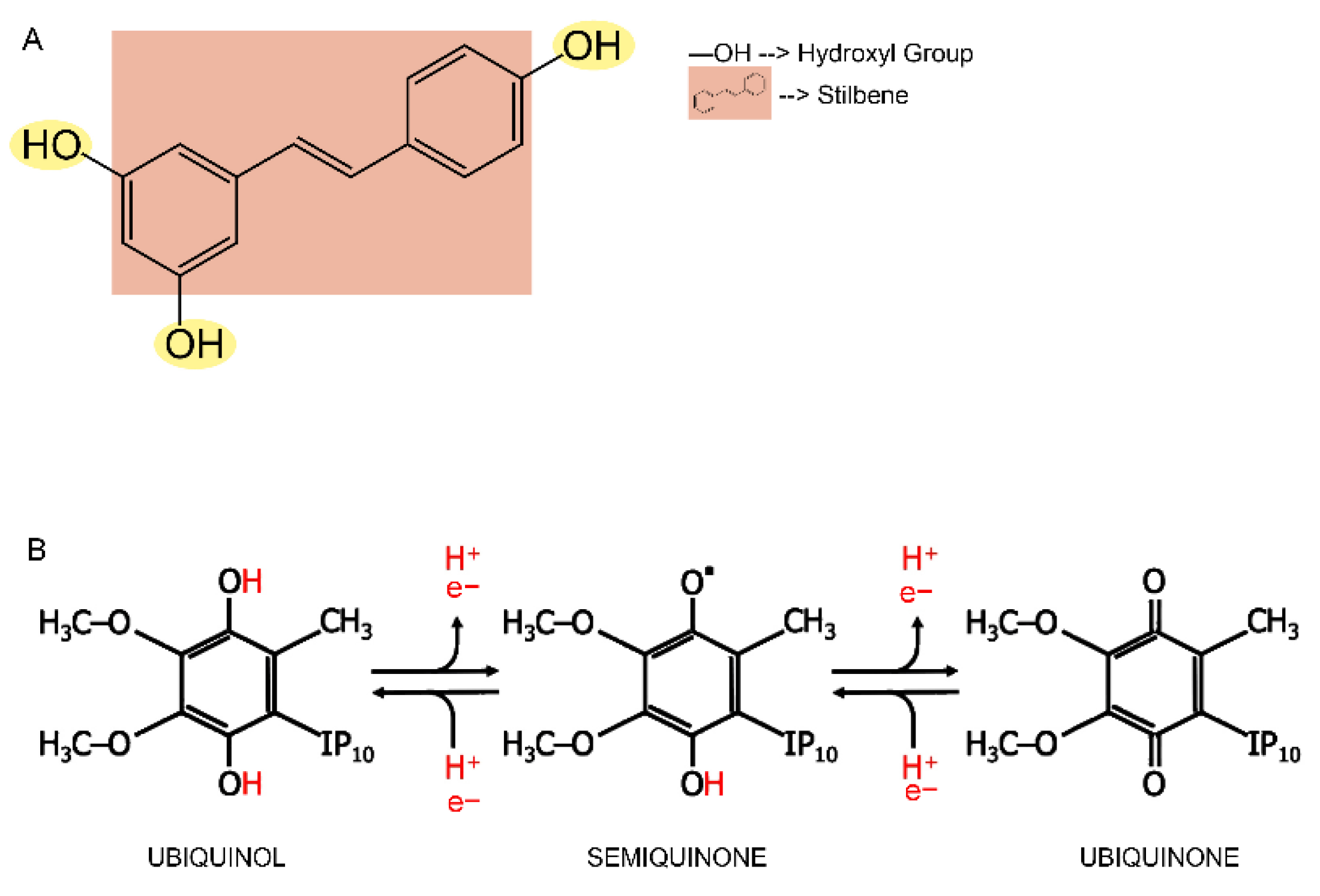 Nutrients 14 04326 g002