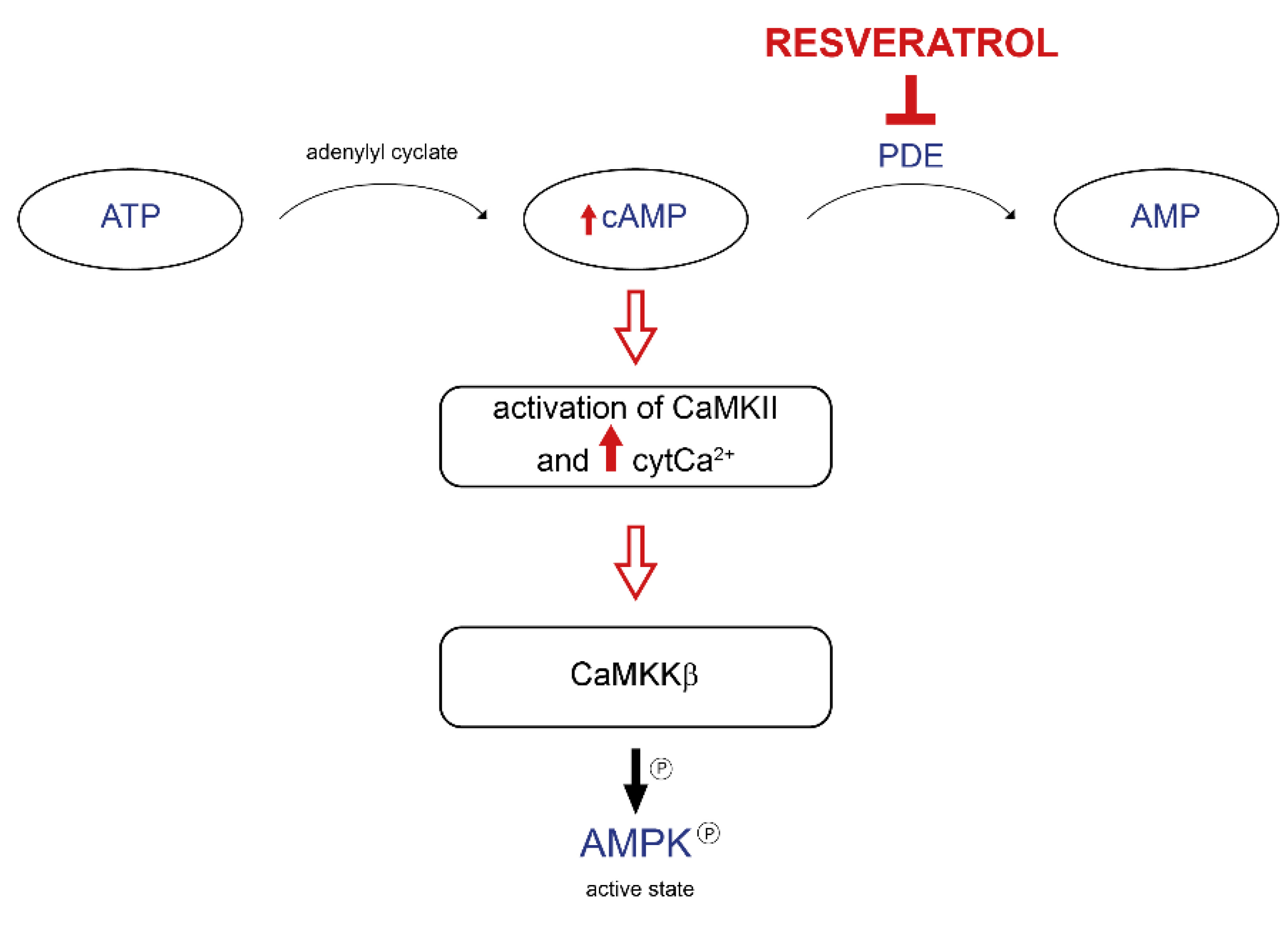 Nutrients 14 04326 g003