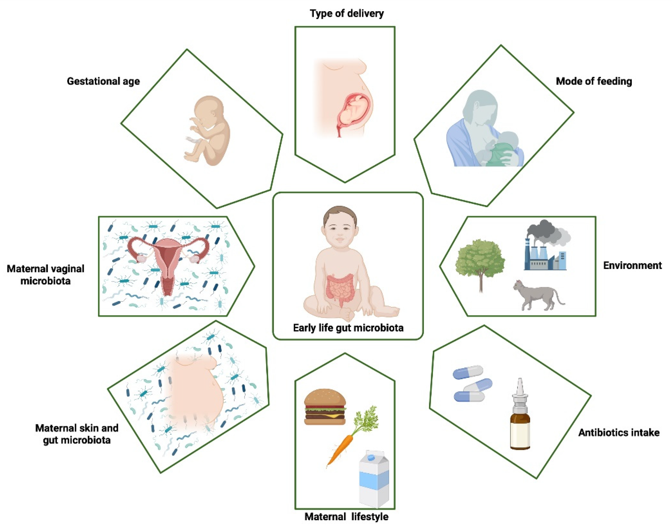 Nutrients 14 04328 g001