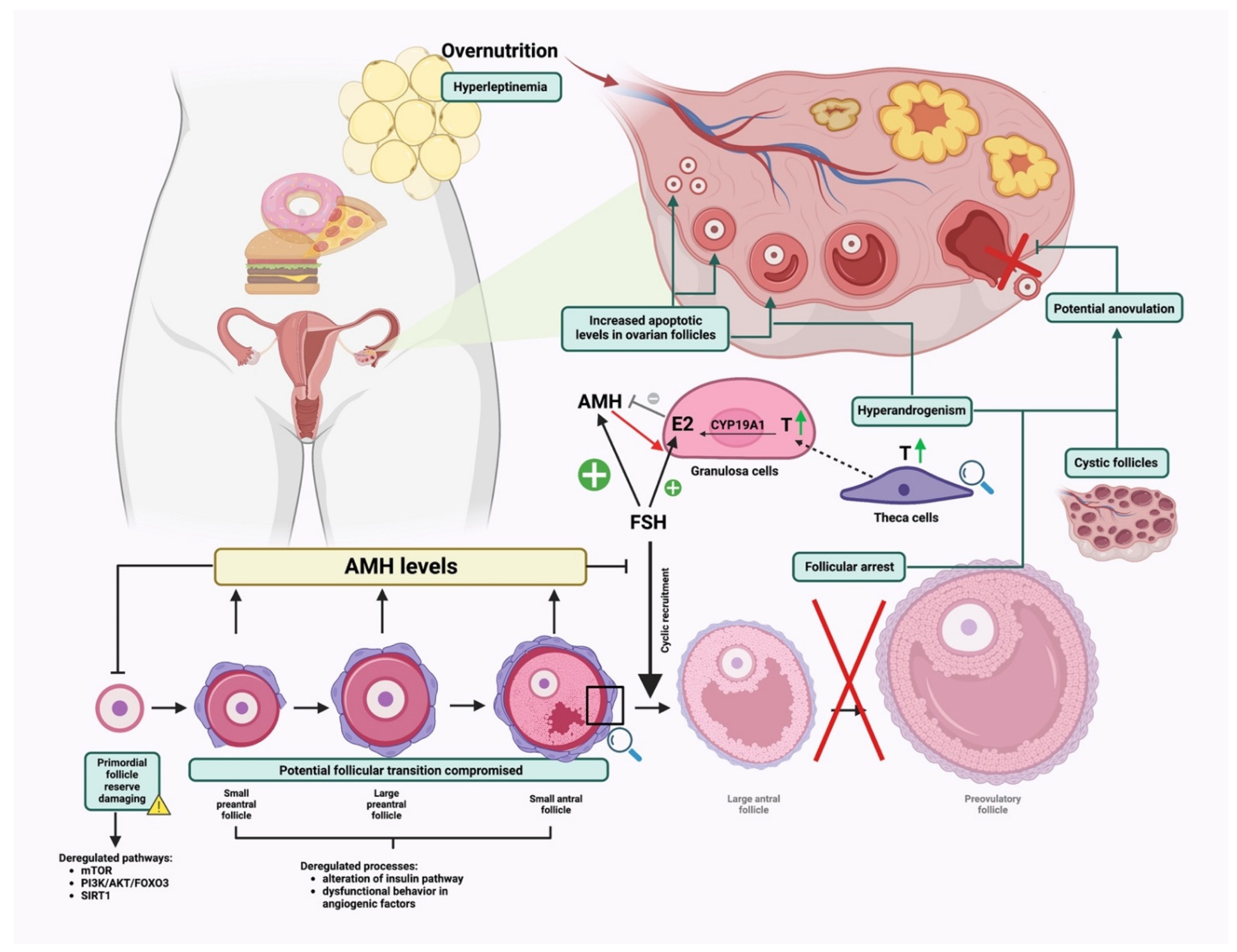 Nutrients 14 04341 g003