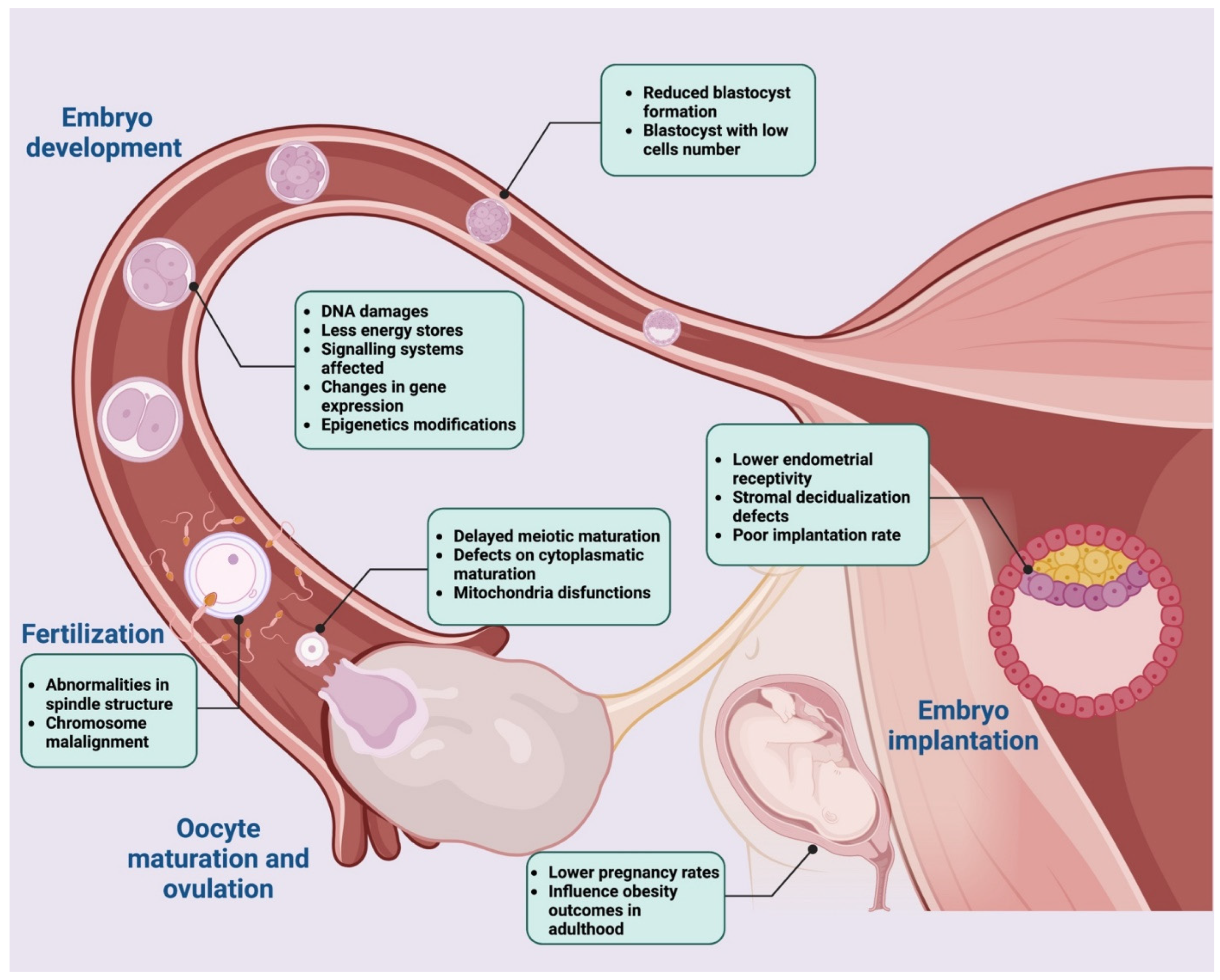 Nutrients 14 04341 g004