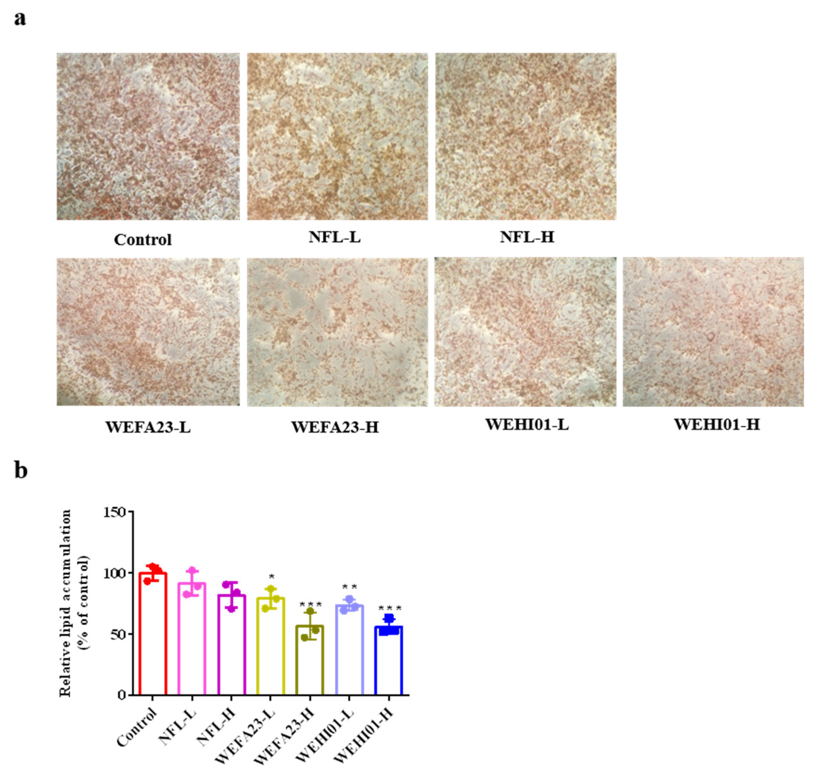 Nutrients 14 04348 g002 Nutrients 14 04348 g002