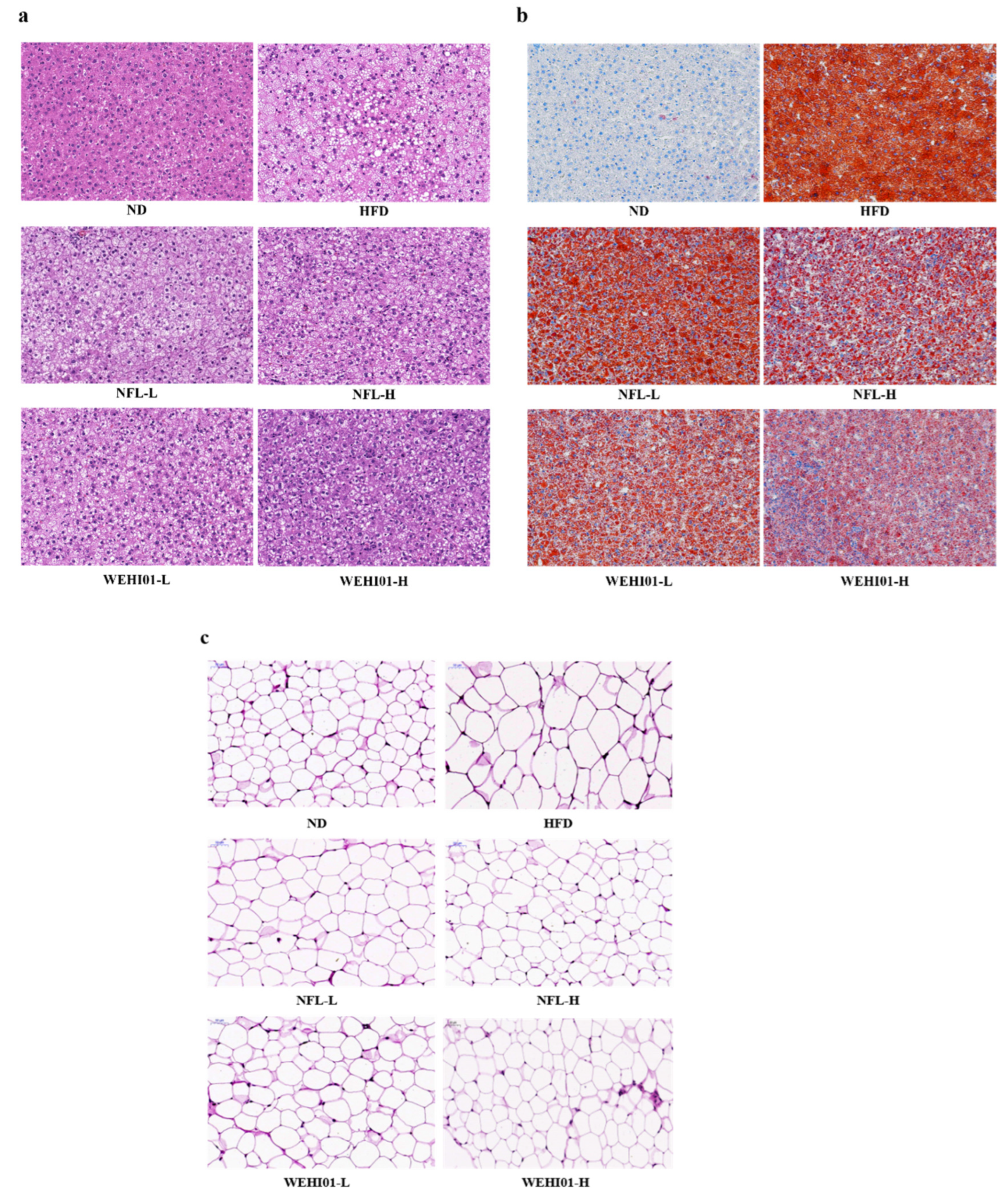 Nutrients 14 04348 g007 Nutrients 14 04348 g007