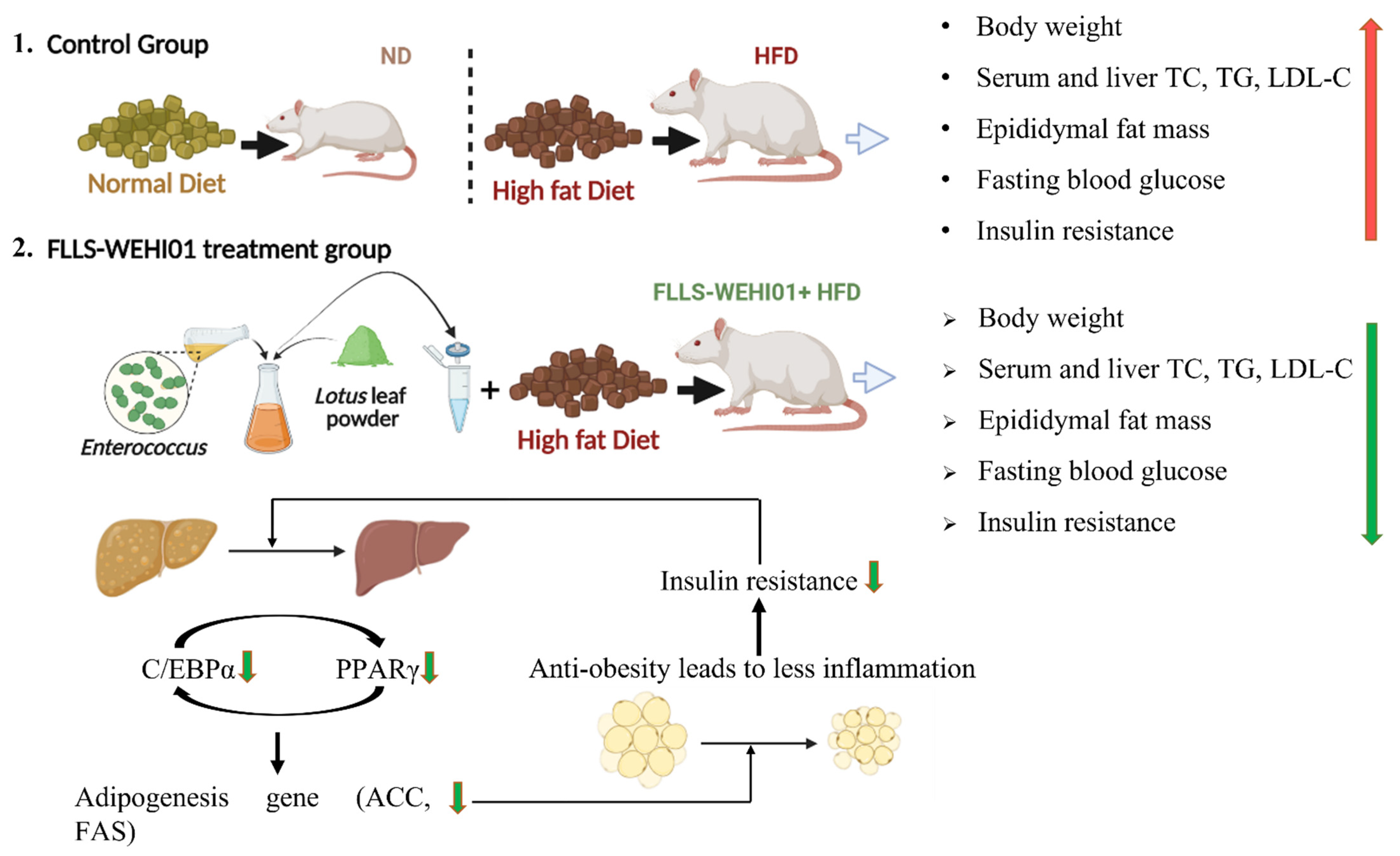 Nutrients 14 04348 g009 Nutrients 14 04348 g009