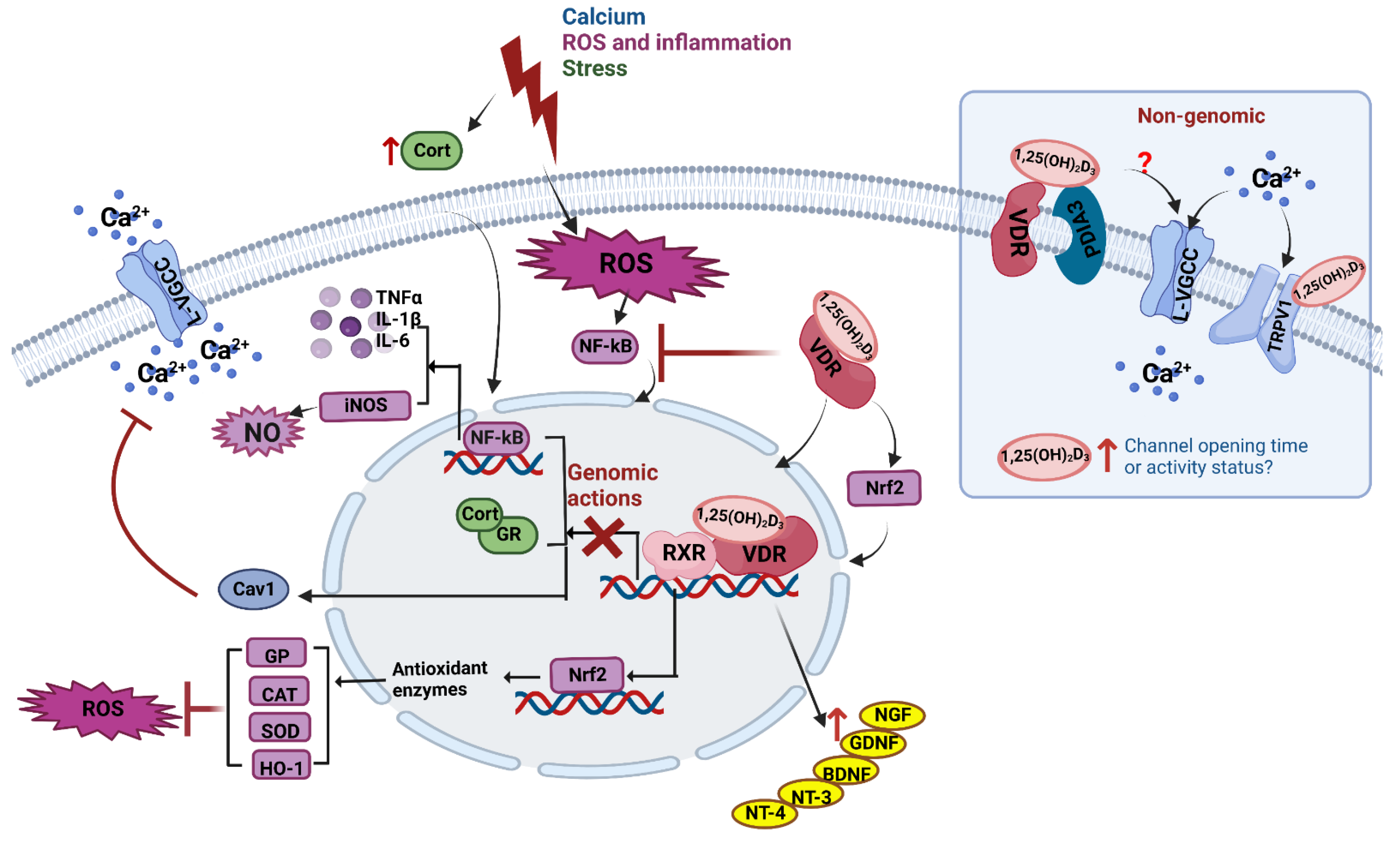 Nutrients 14 04353 g001