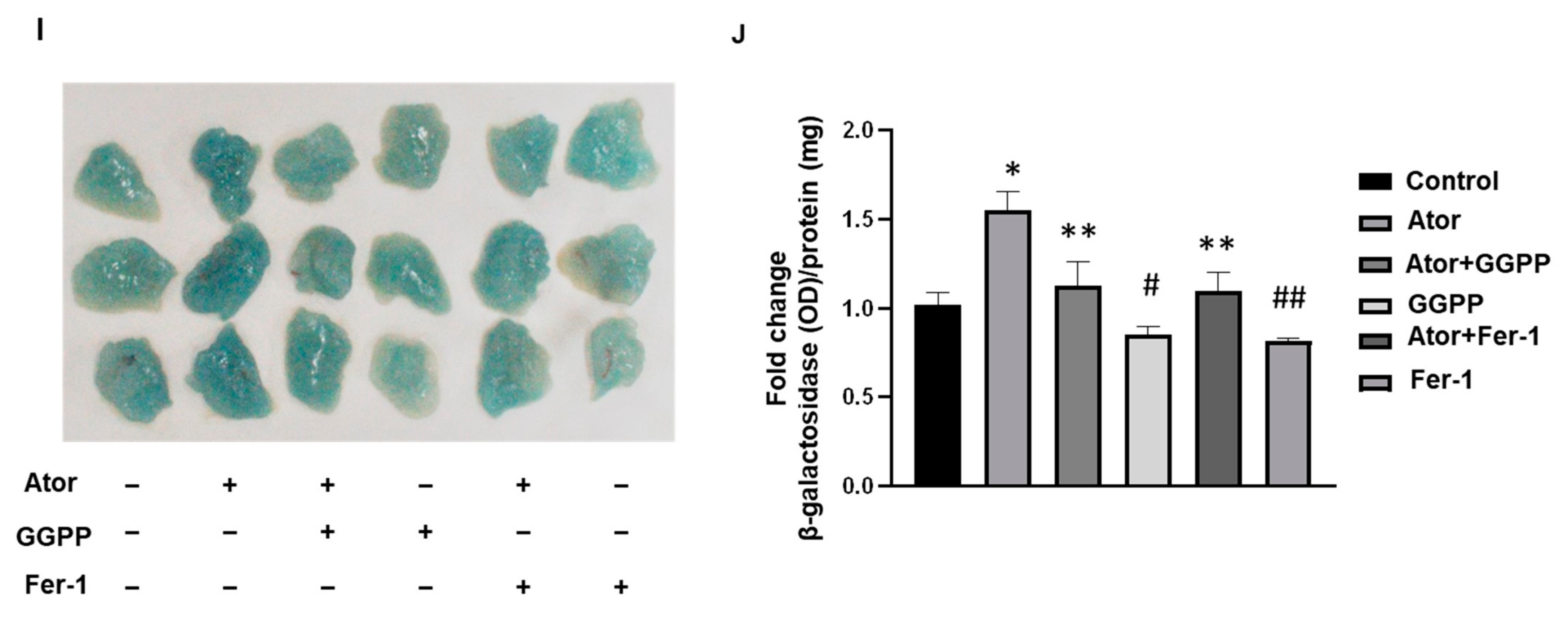 Nutrients 14 04365 g003b