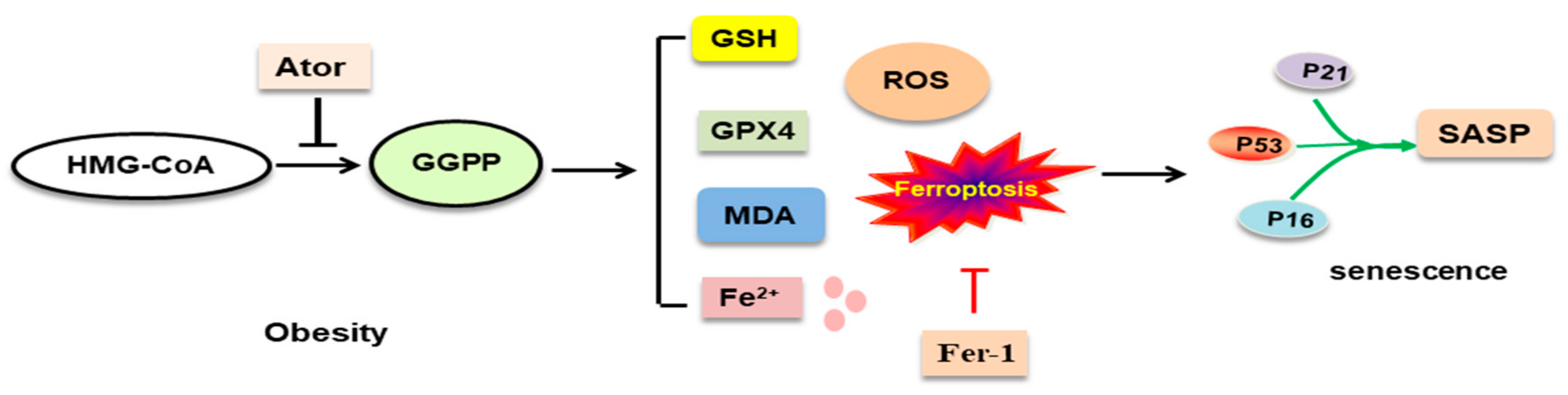 Nutrients 14 04365 g006