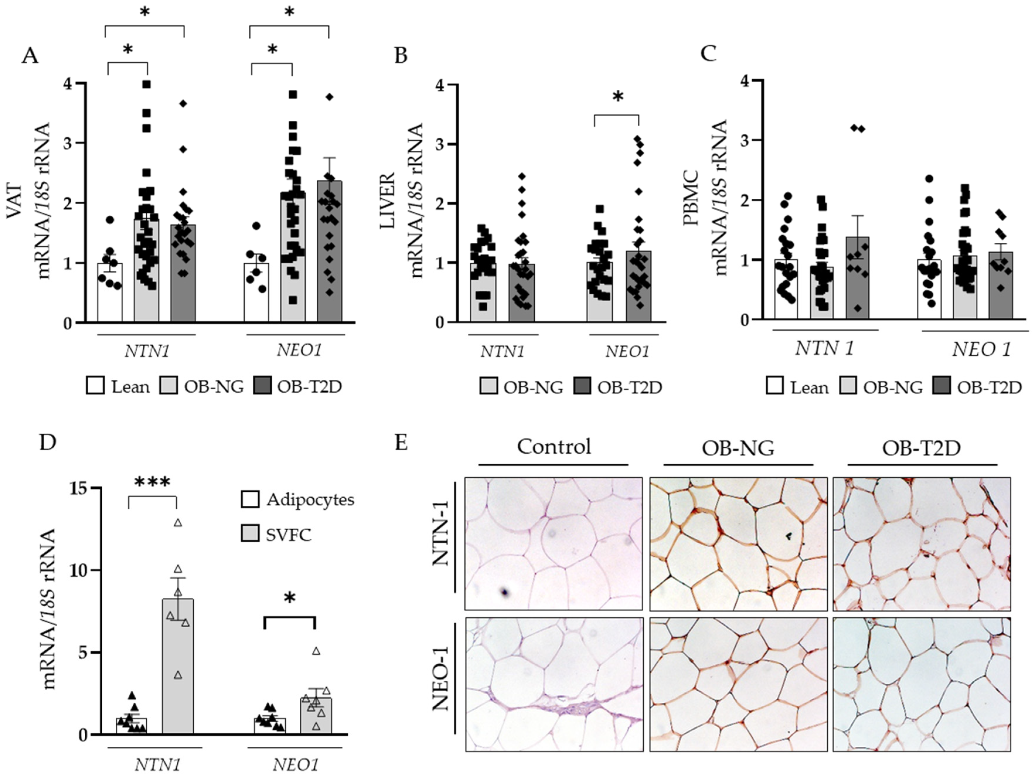 Nutrients 14 04372 g002