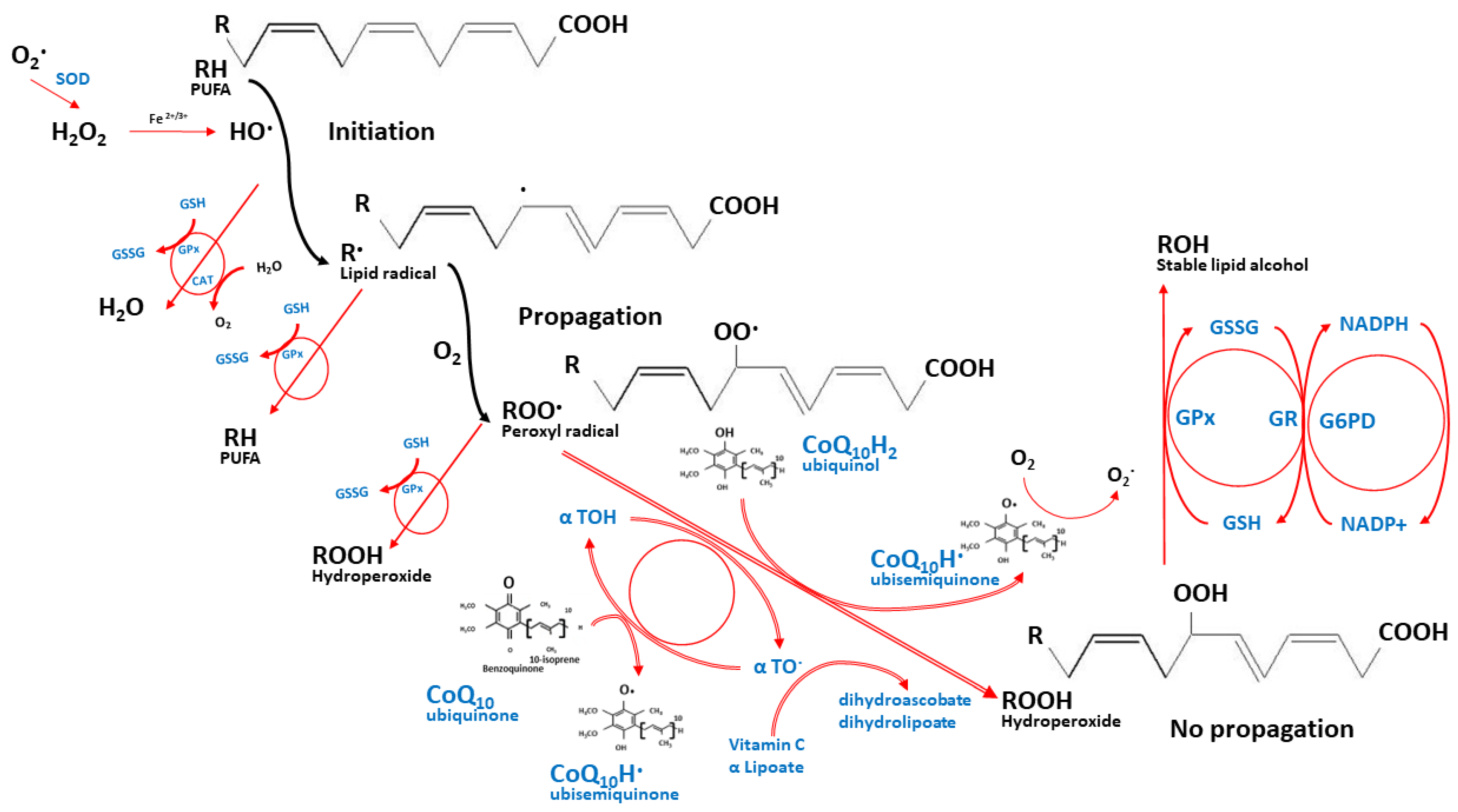 Nutrients 14 04383 g002