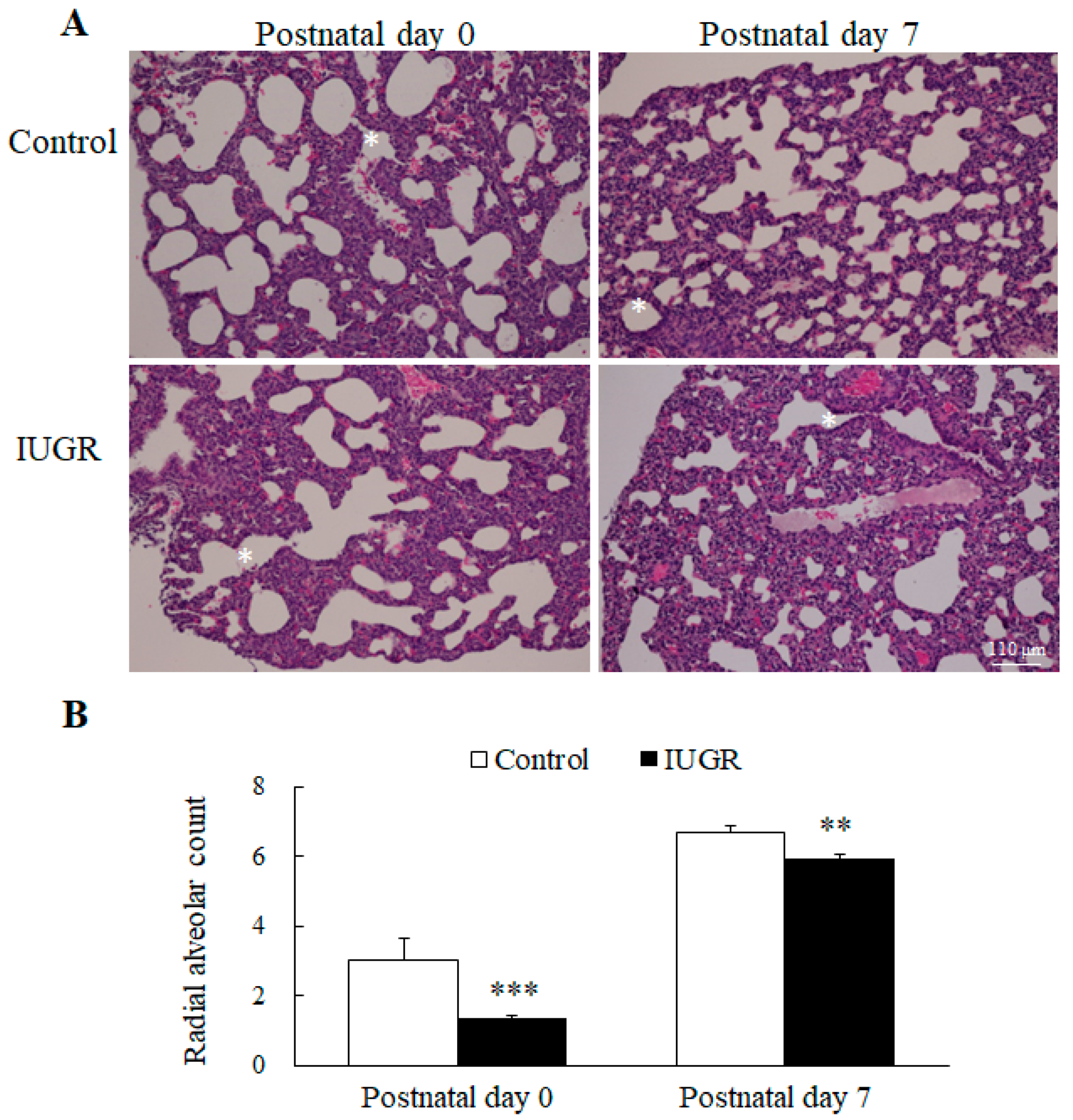 Nutrients 14 04388 g001