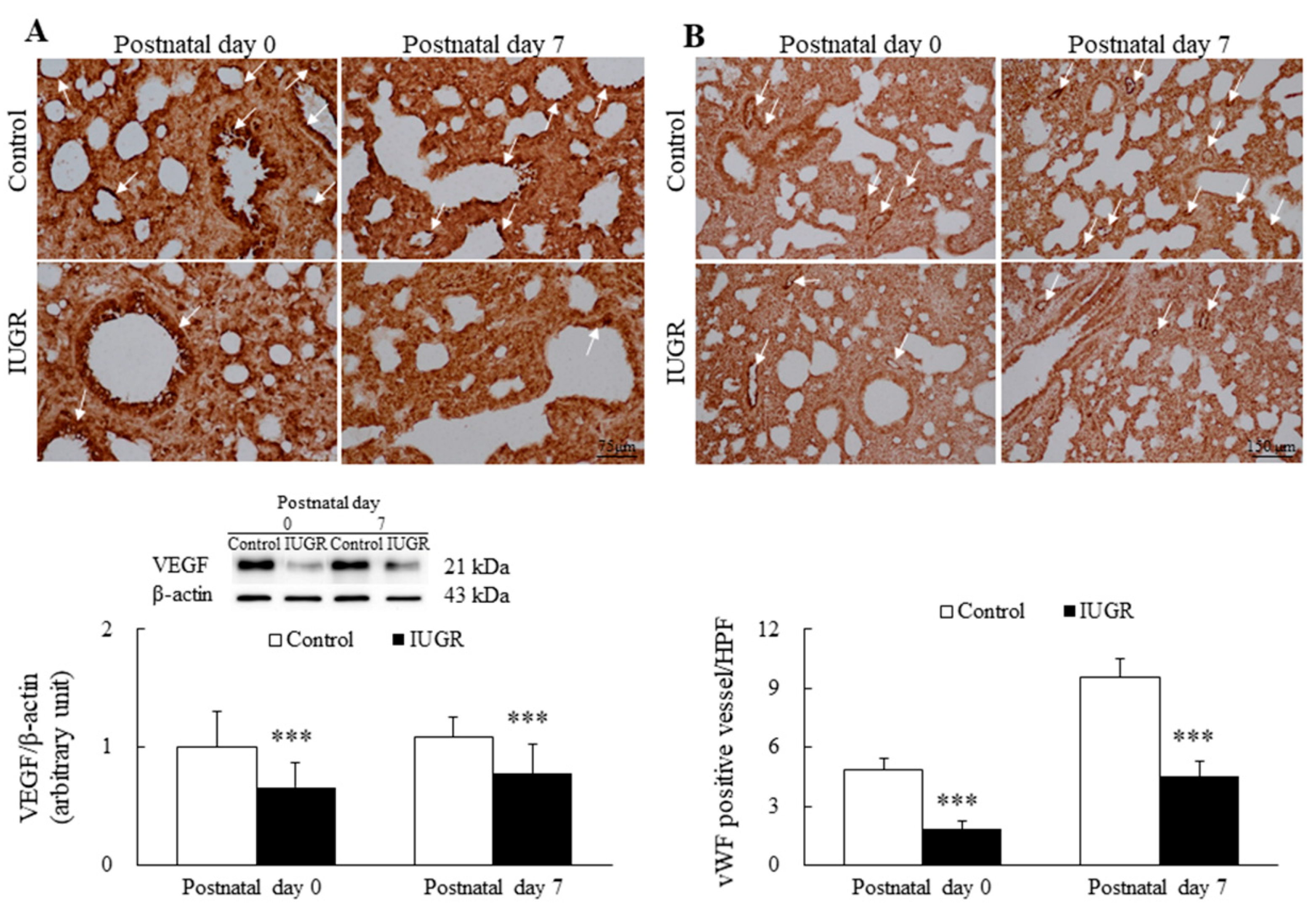 Nutrients 14 04388 g002