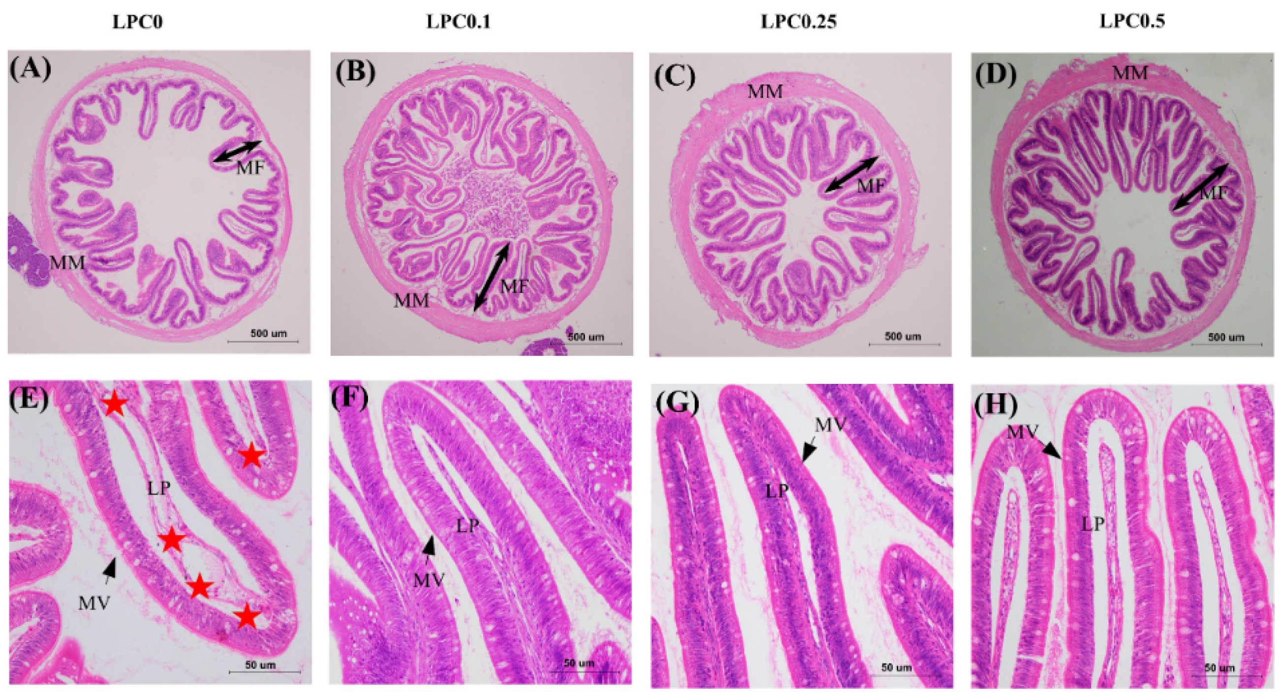 Nutrients 14 04398 g001 Nutrients 14 04398 g001