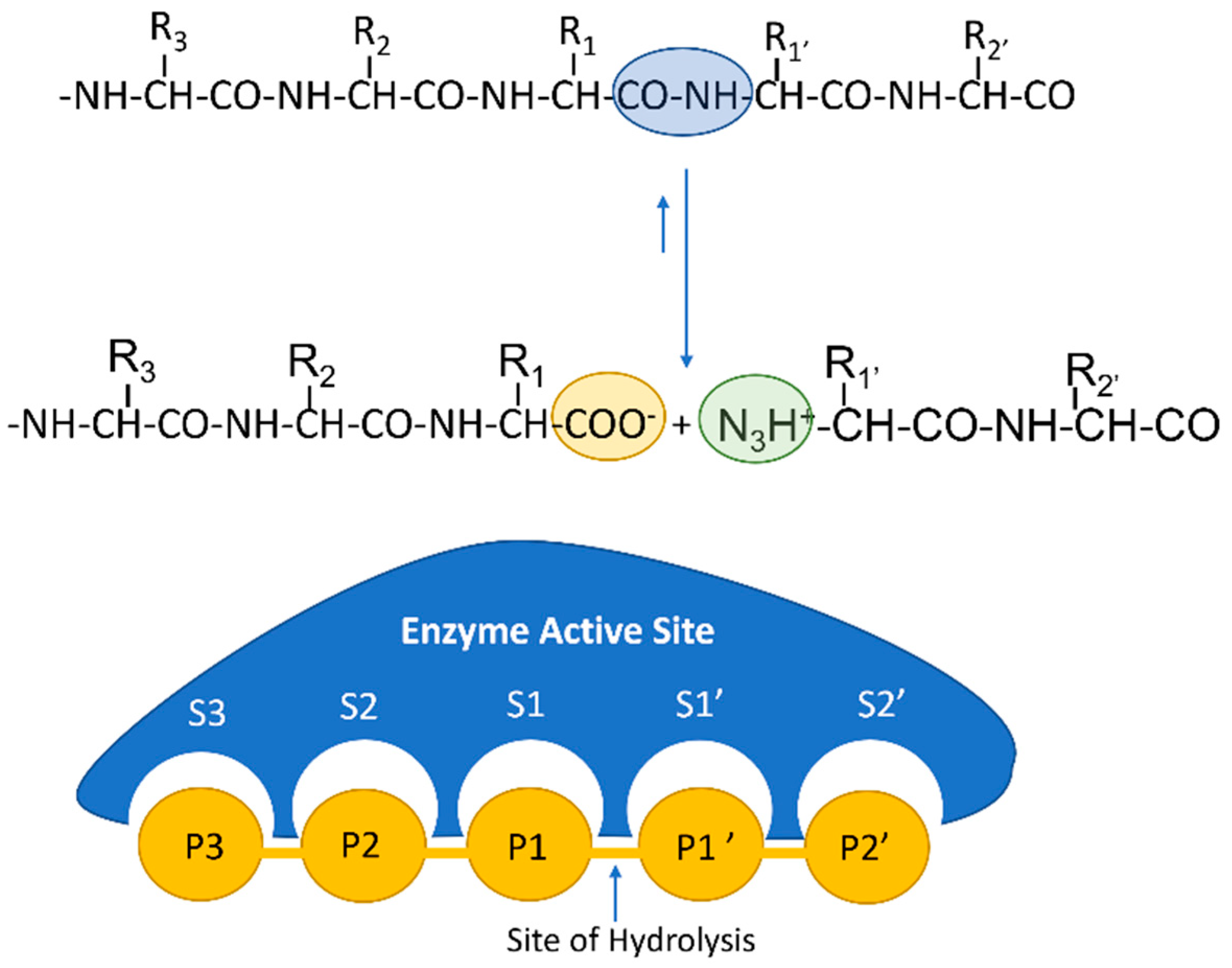 Nutrients 14 04400 g001