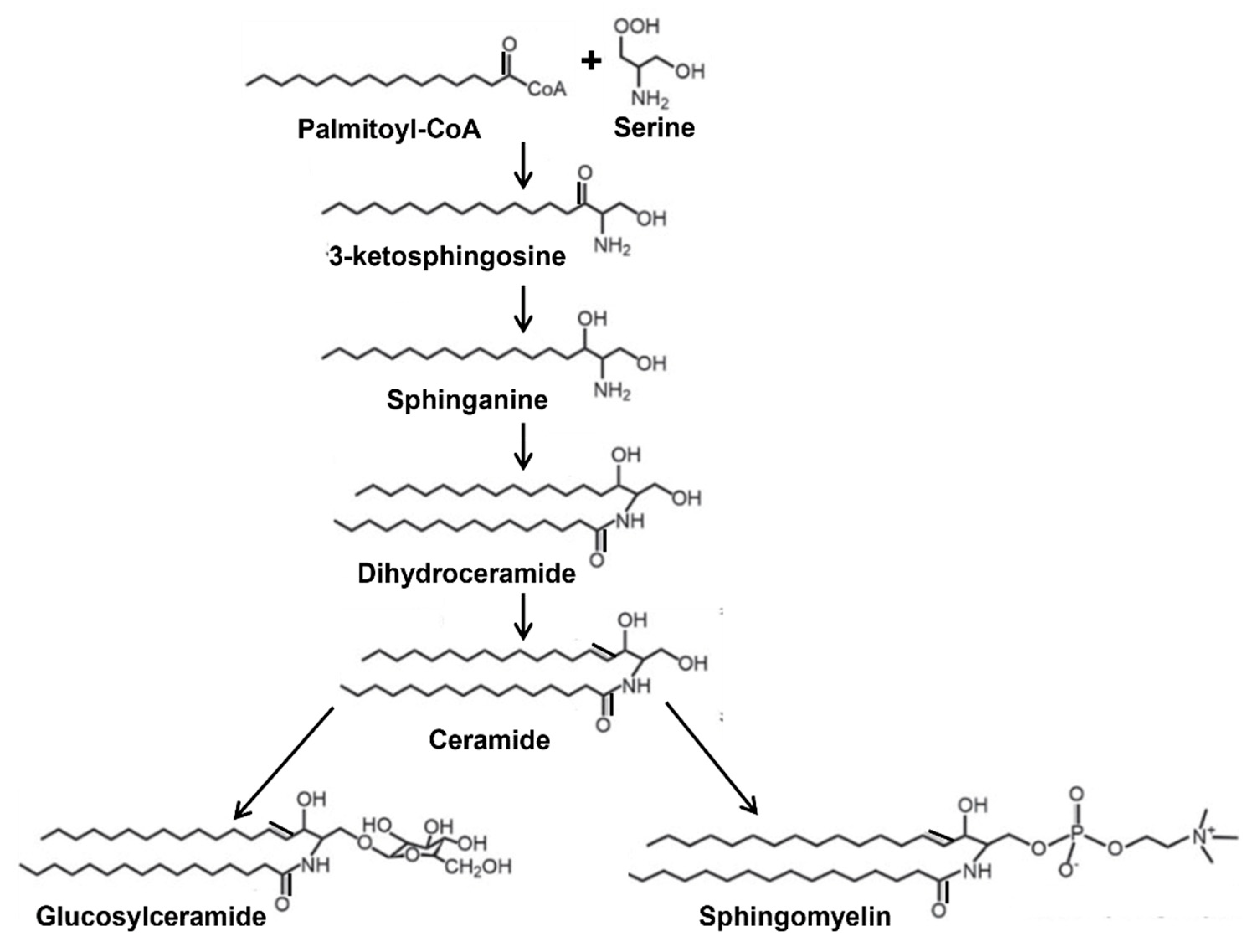 Nutrients 14 04401 g001