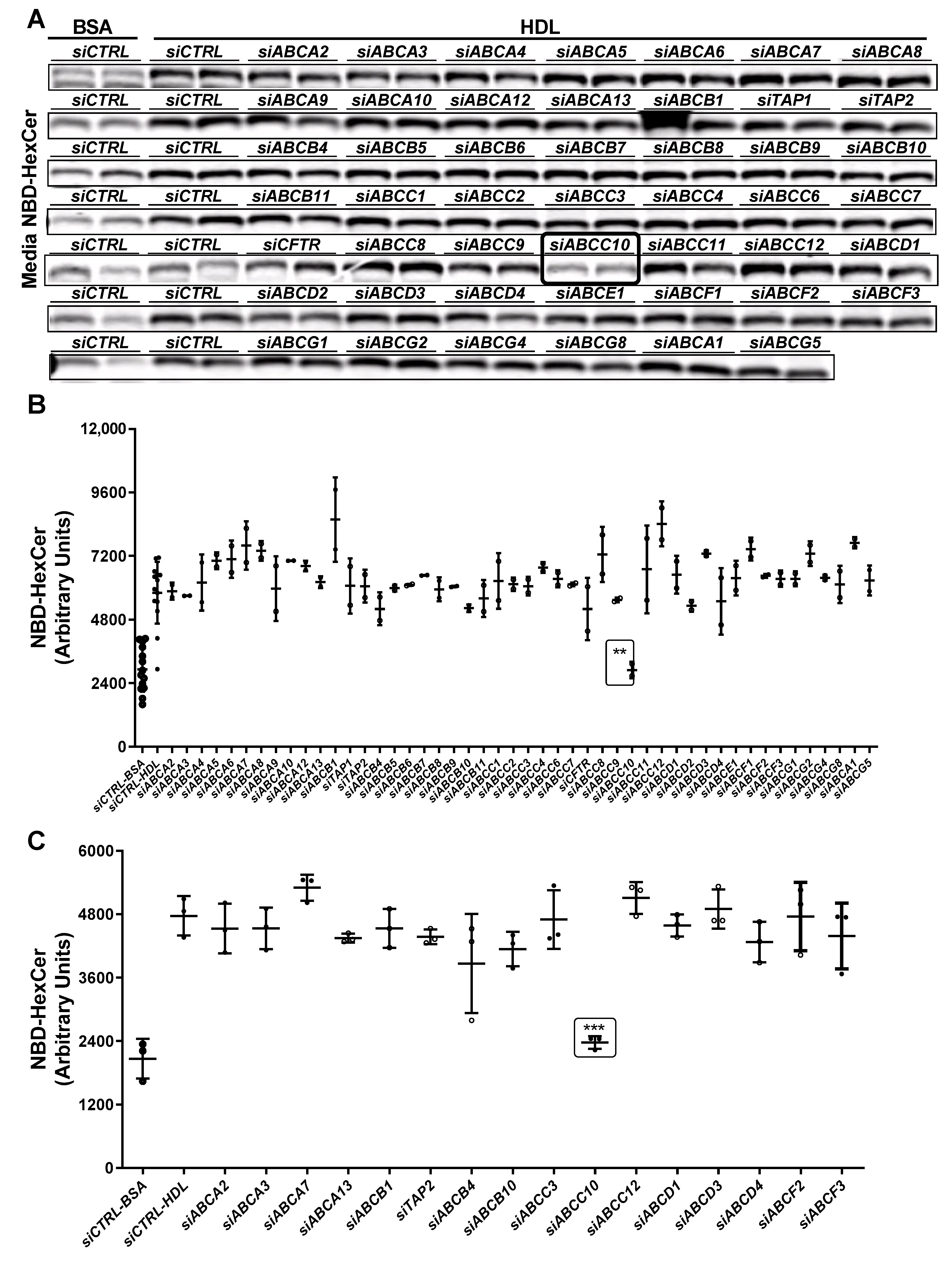 Nutrients 14 04401 g002