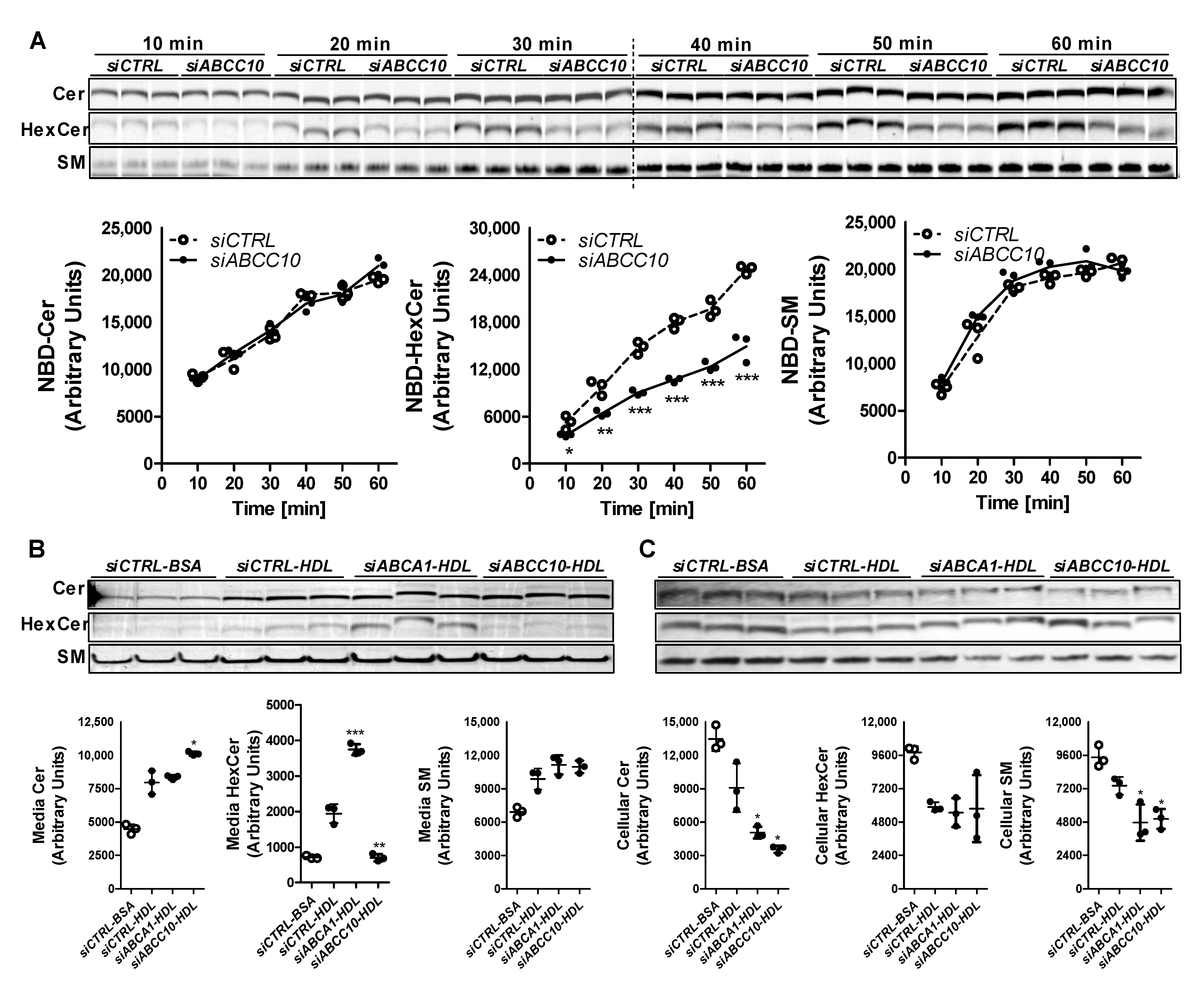 Nutrients 14 04401 g004