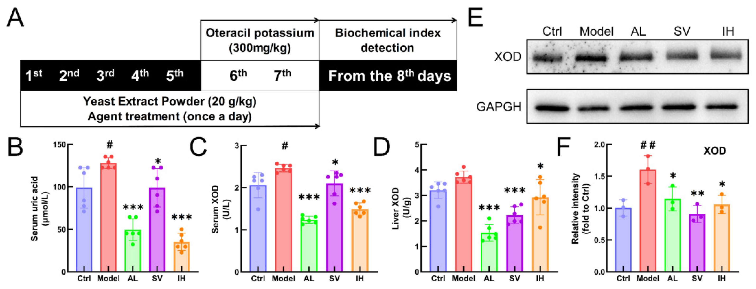 Nutrients 14 04421 g001