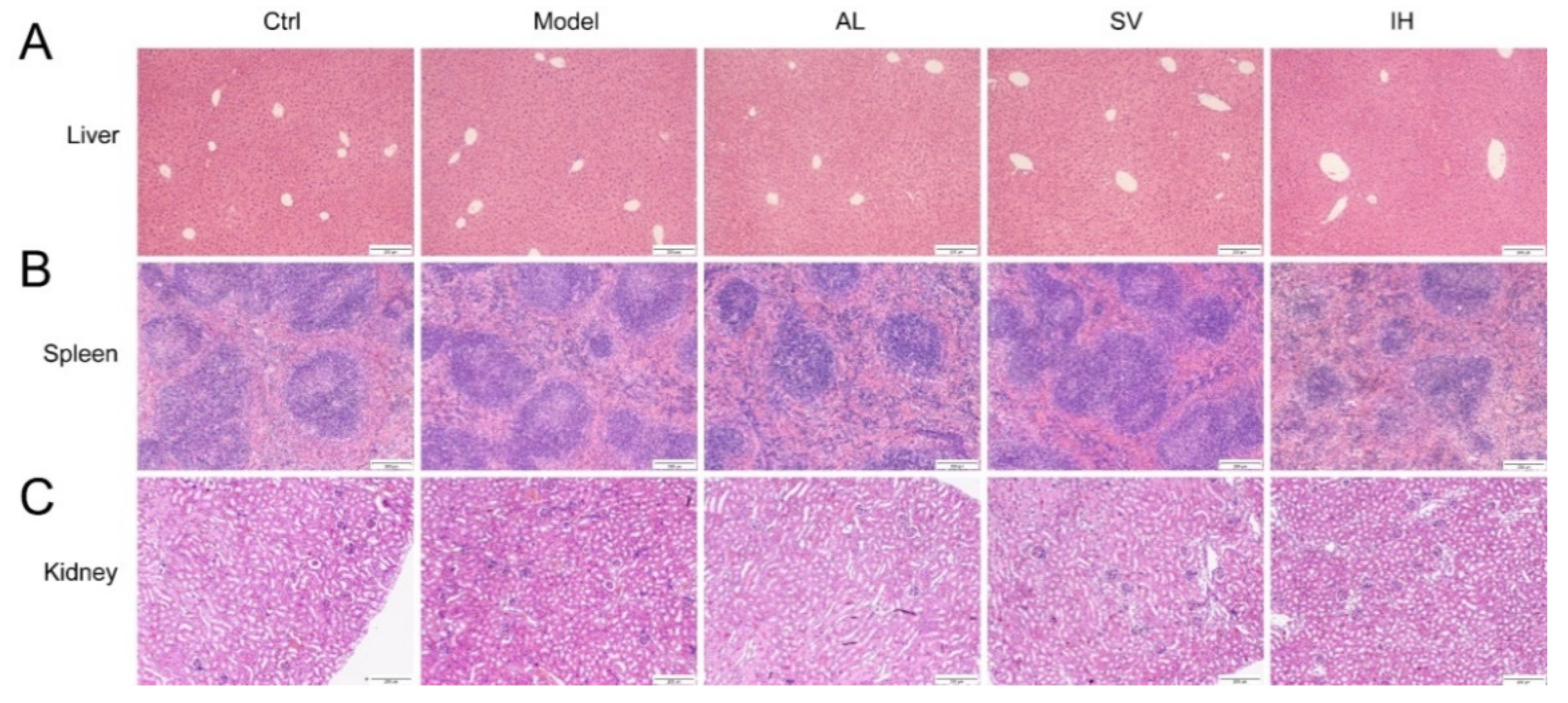 Nutrients 14 04421 g002
