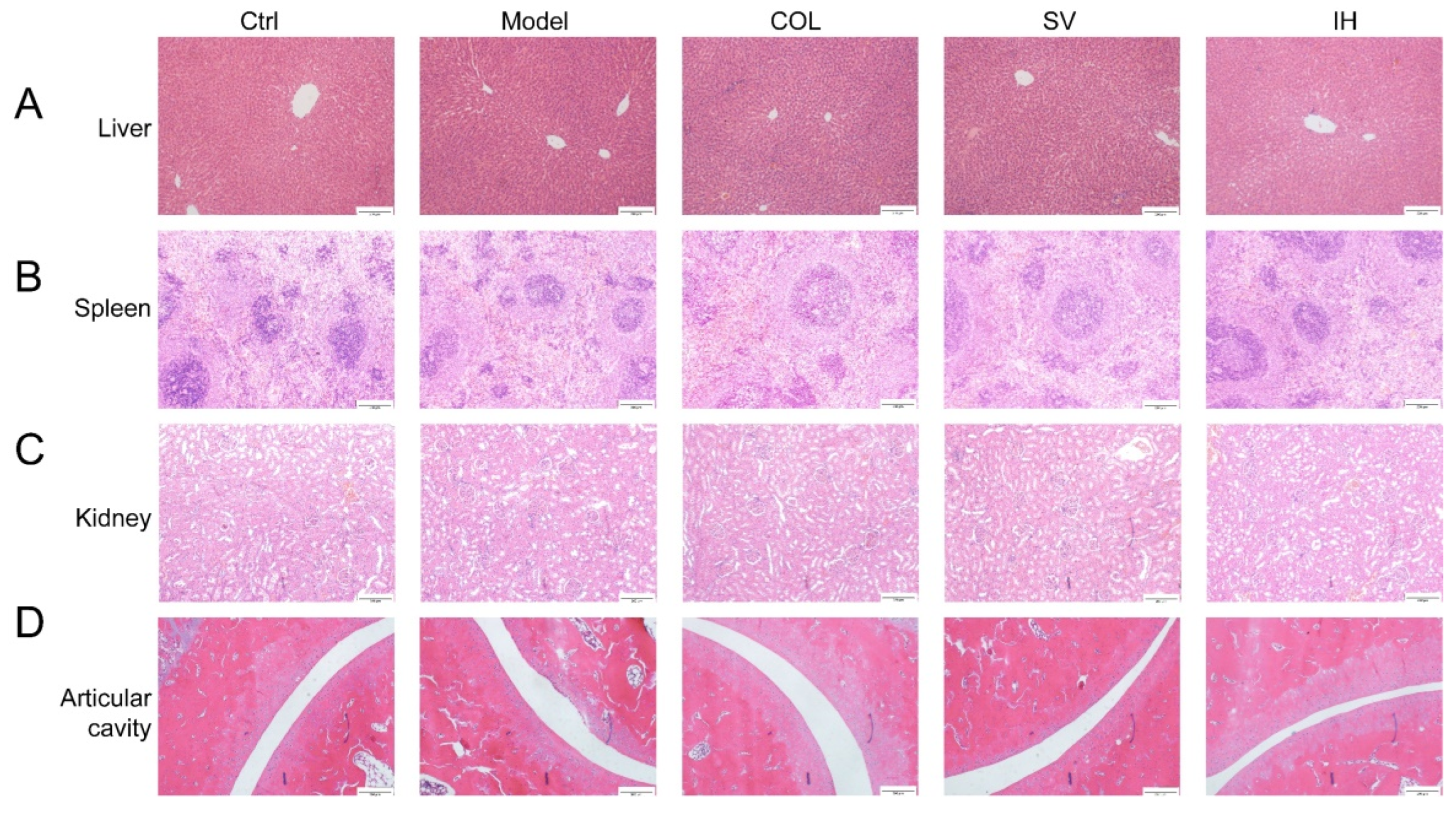 Nutrients 14 04421 g004