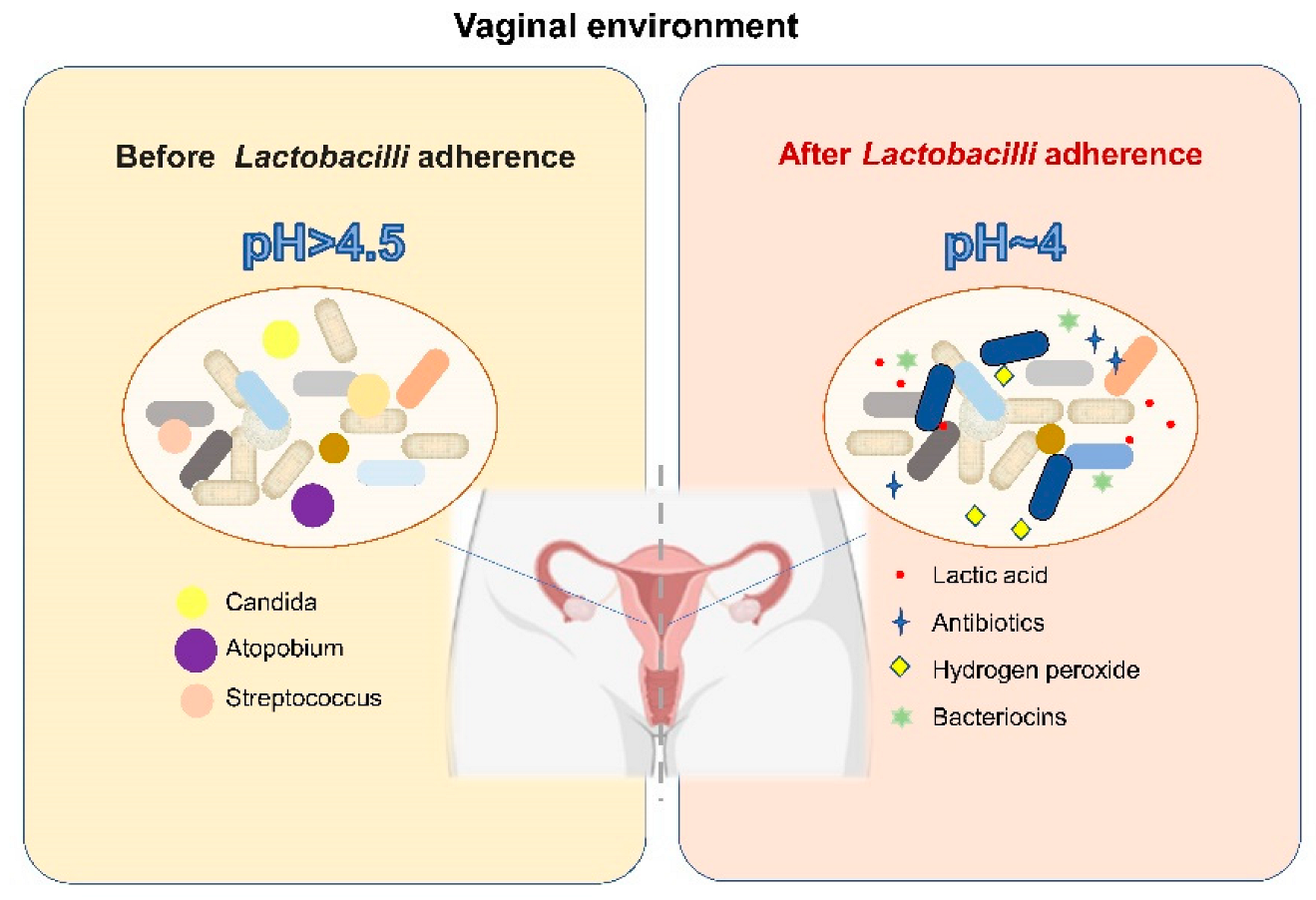 Nutrients 14 04466 g002 Nutrients 14 04466 g002