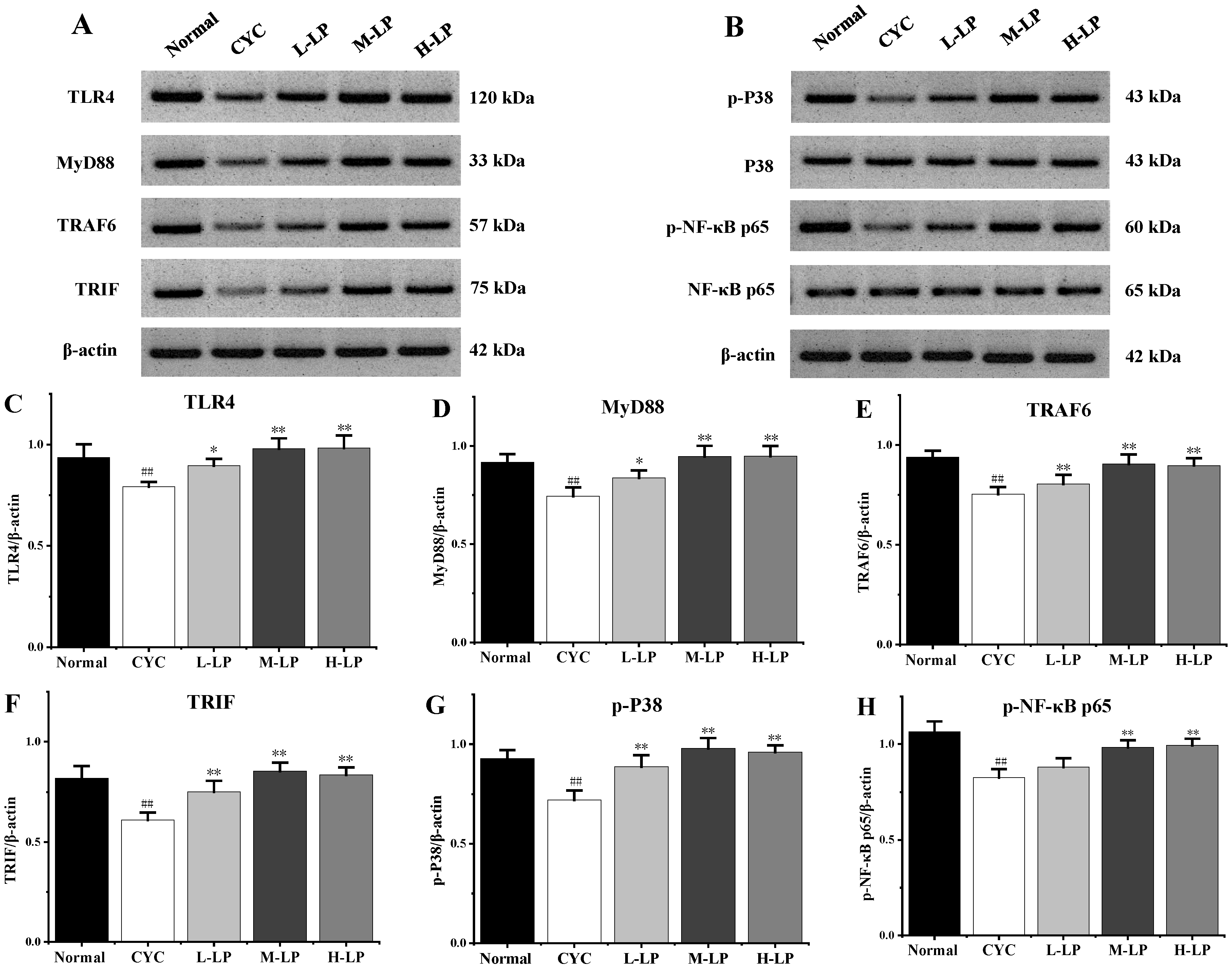 Nutrients 14 04467 g003