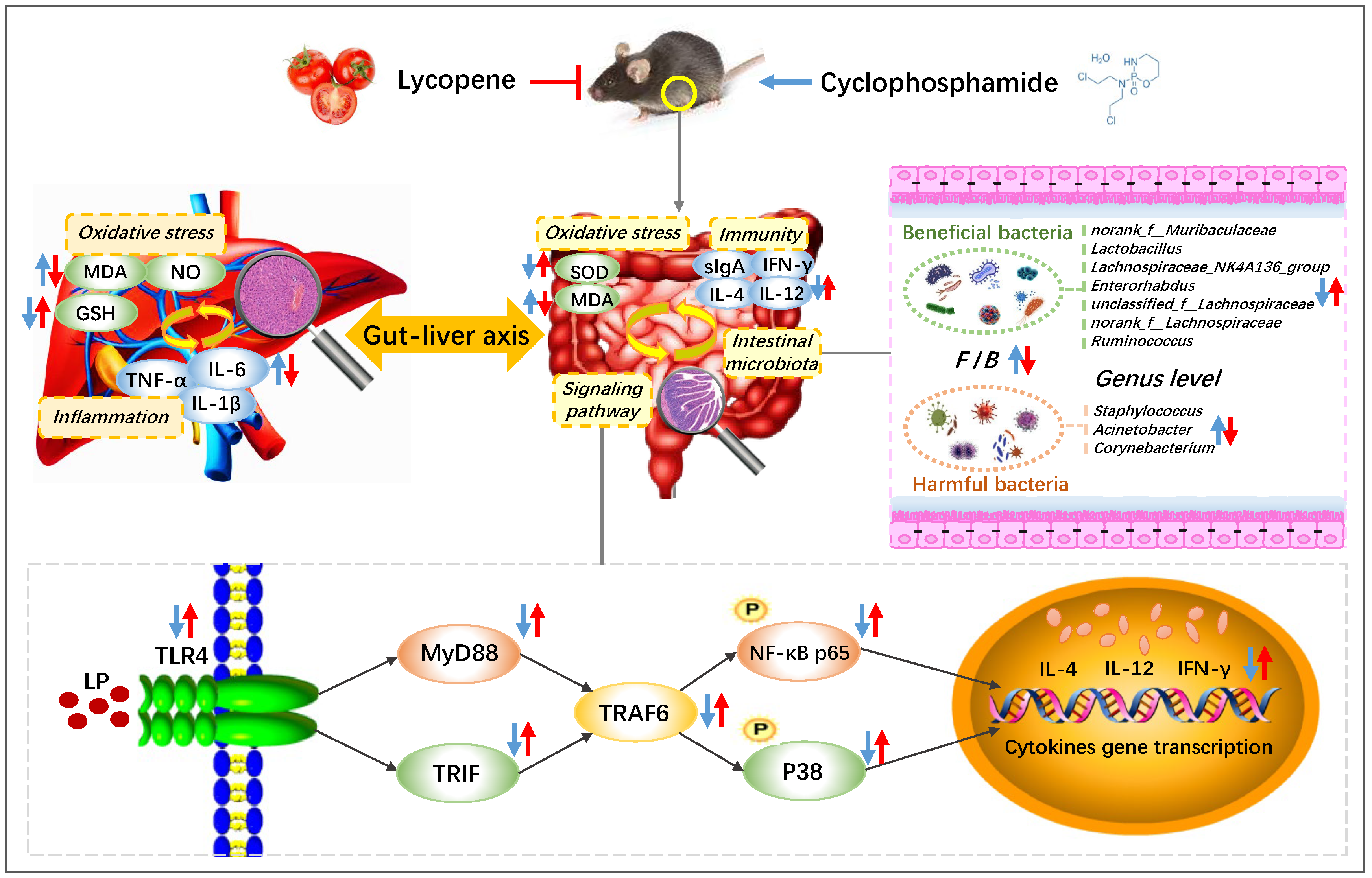 Nutrients 14 04467 g006