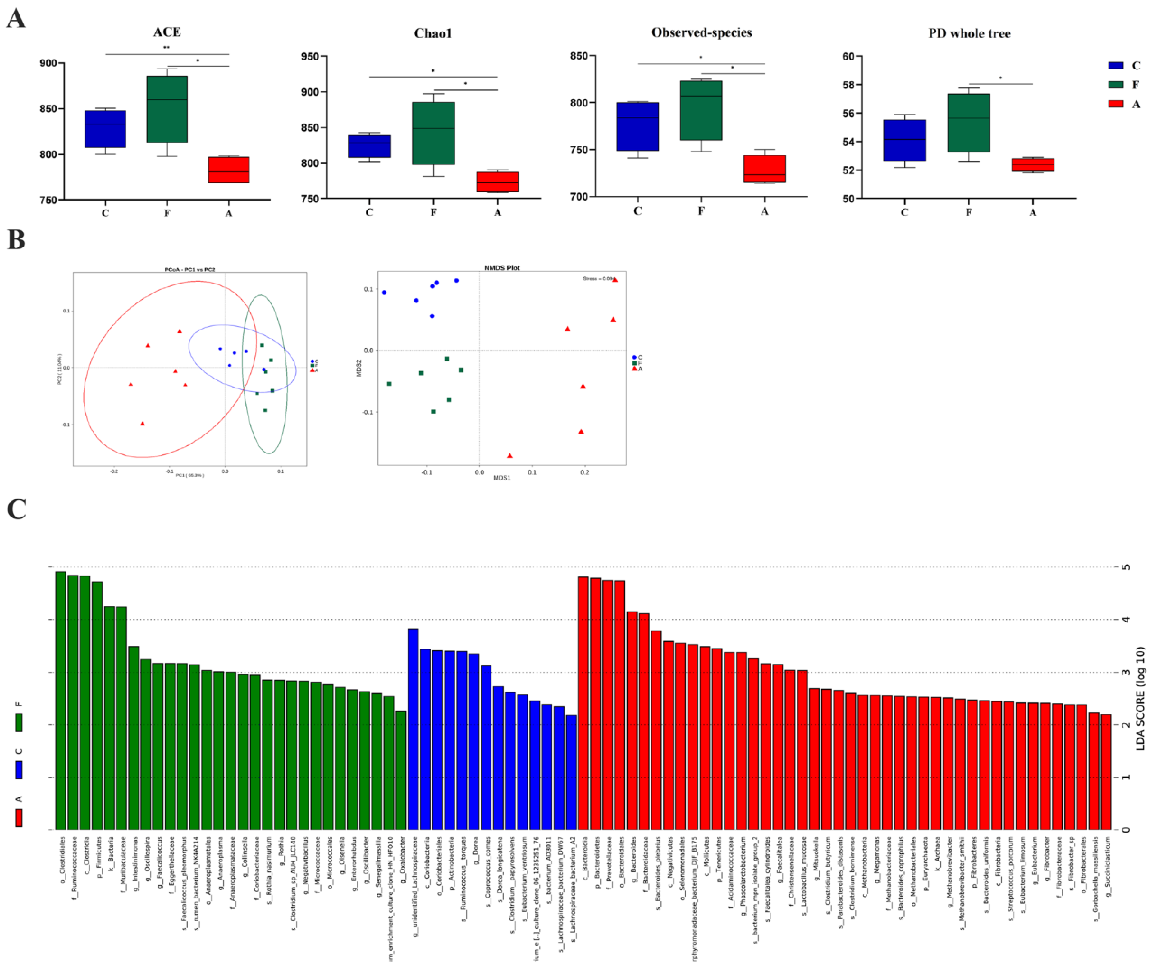 Nutrients 14 04475 g002 Nutrients 14 04475 g002