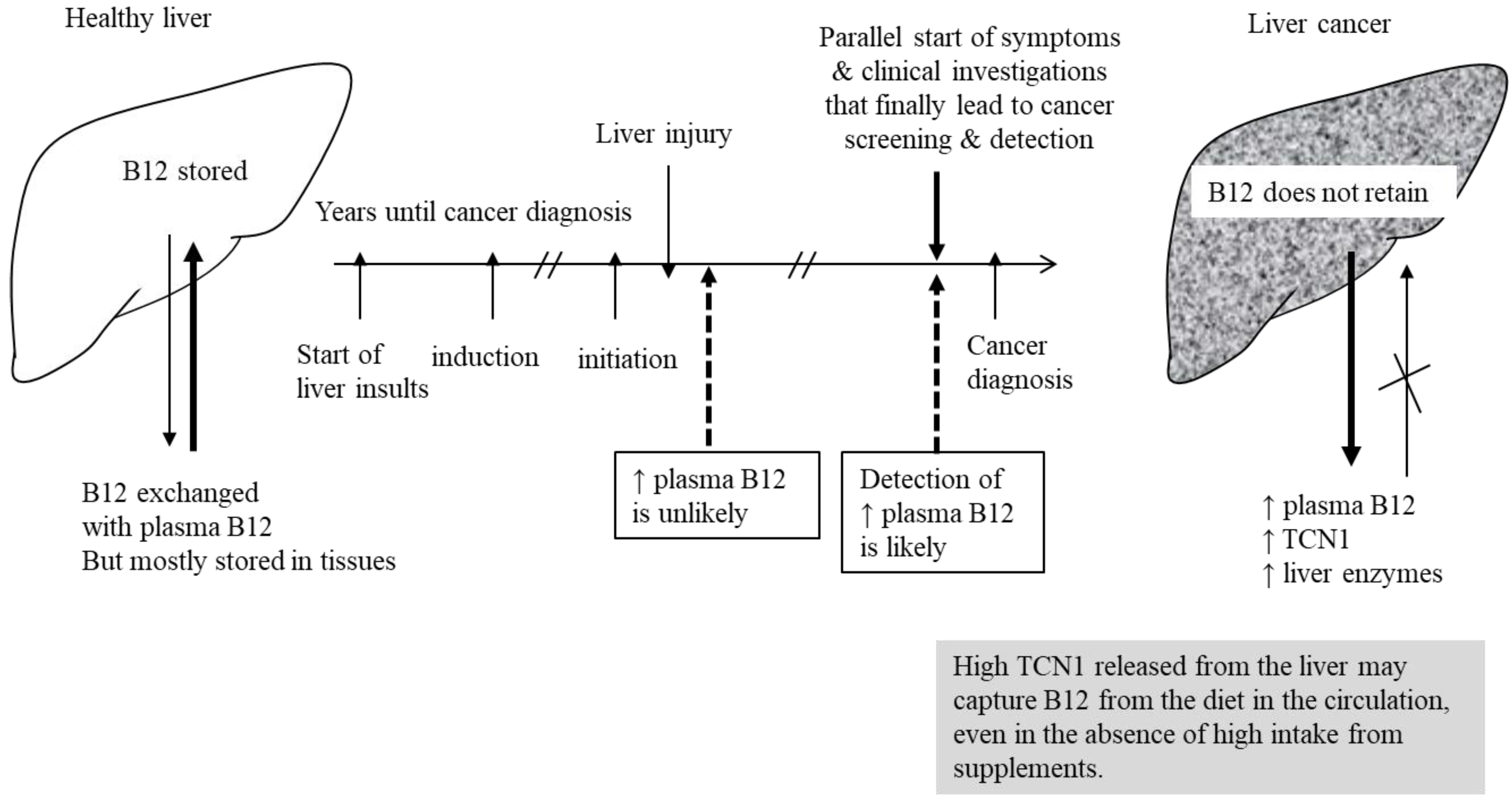 Nutrients 14 04476 g001 Nutrients 14 04476 g001