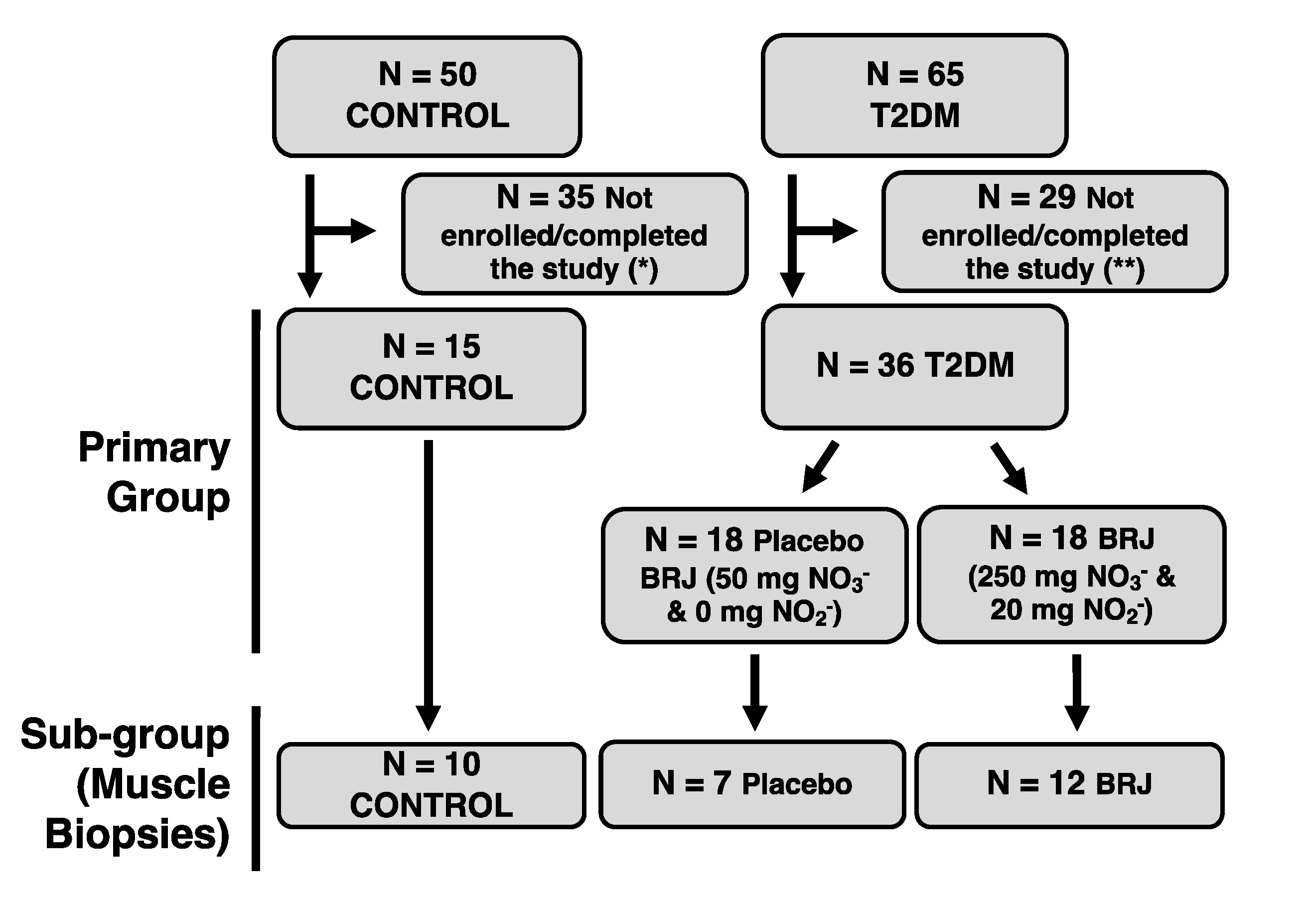 Nutrients 14 04479 g001