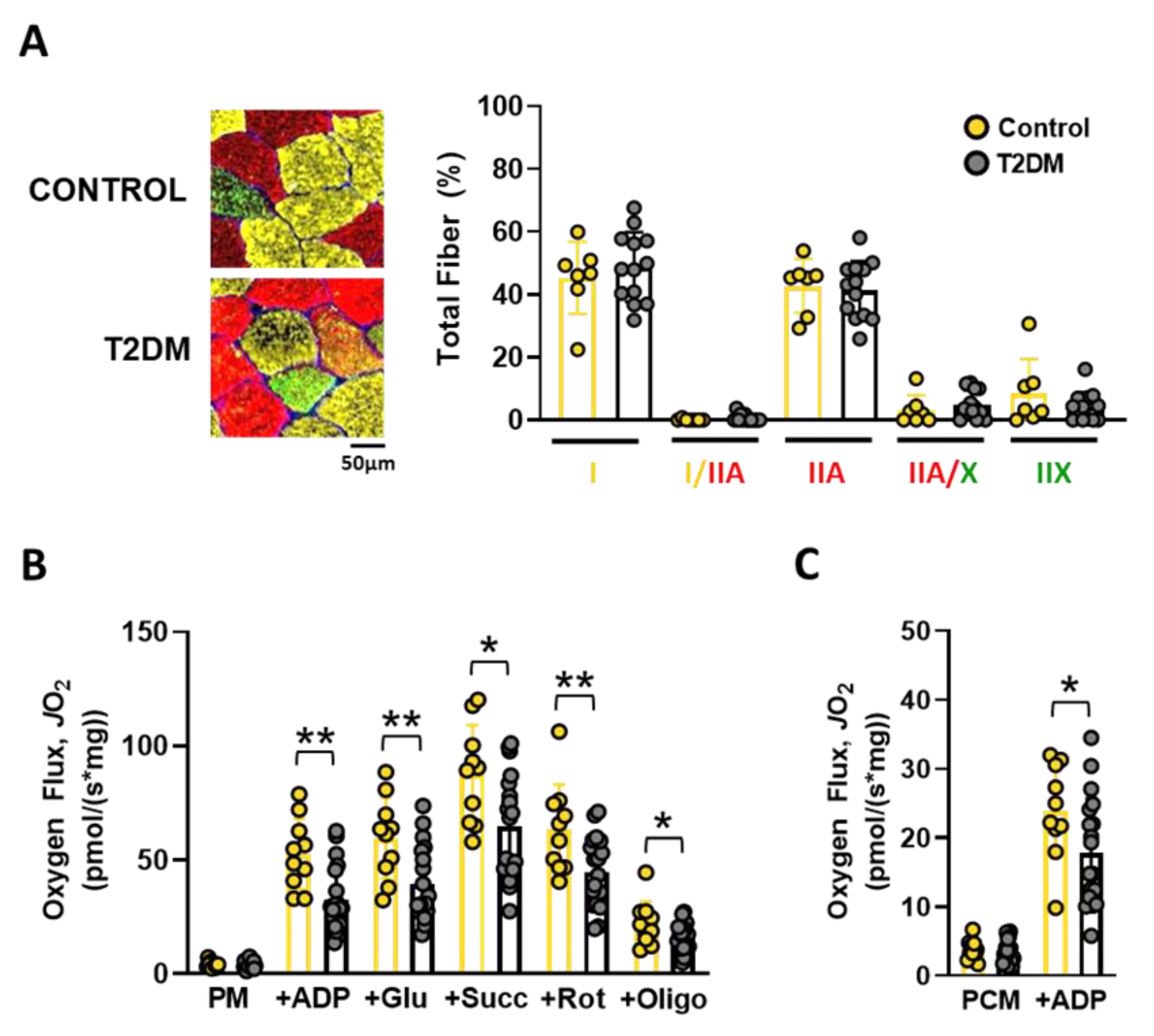 Nutrients 14 04479 g002