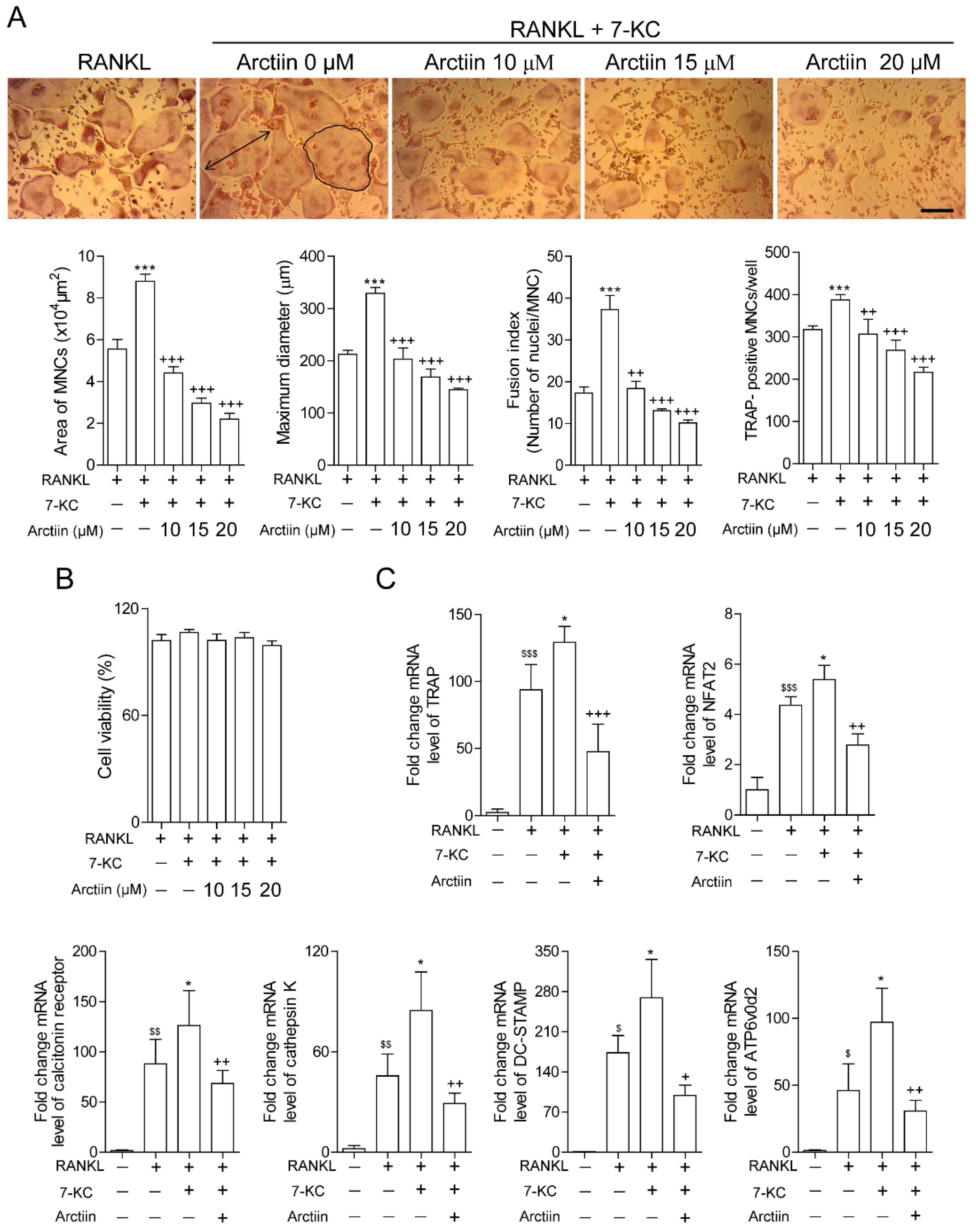 Nutrients 14 04483 g002a Nutrients 14 04483 g002a
