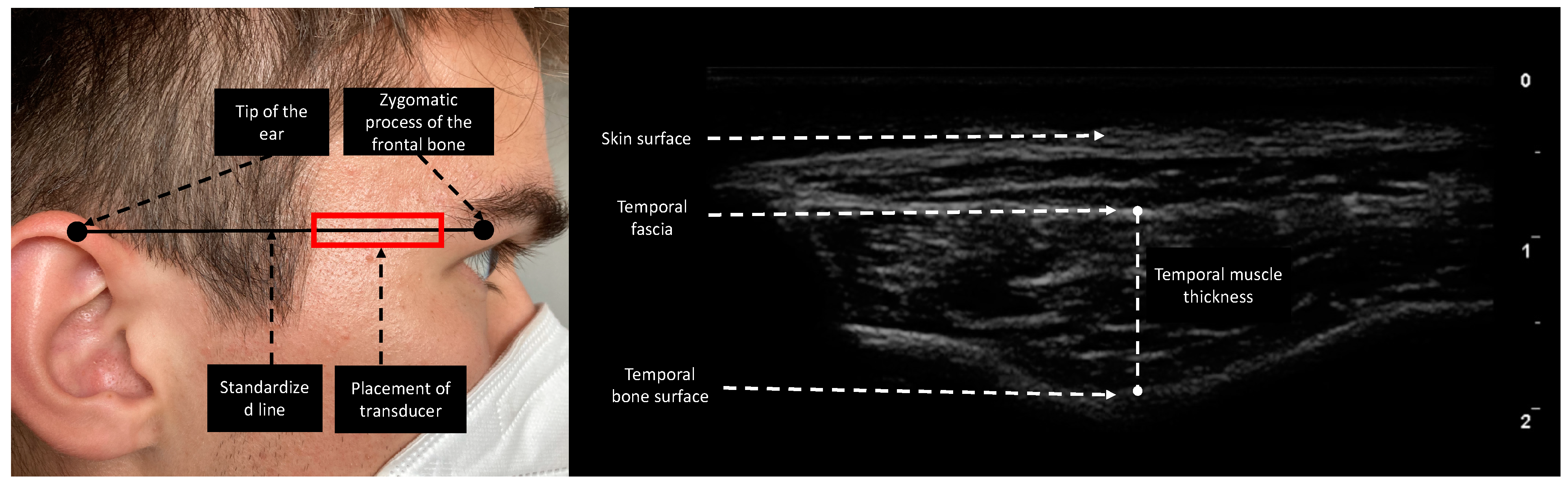 Nutrients 14 04498 g001
