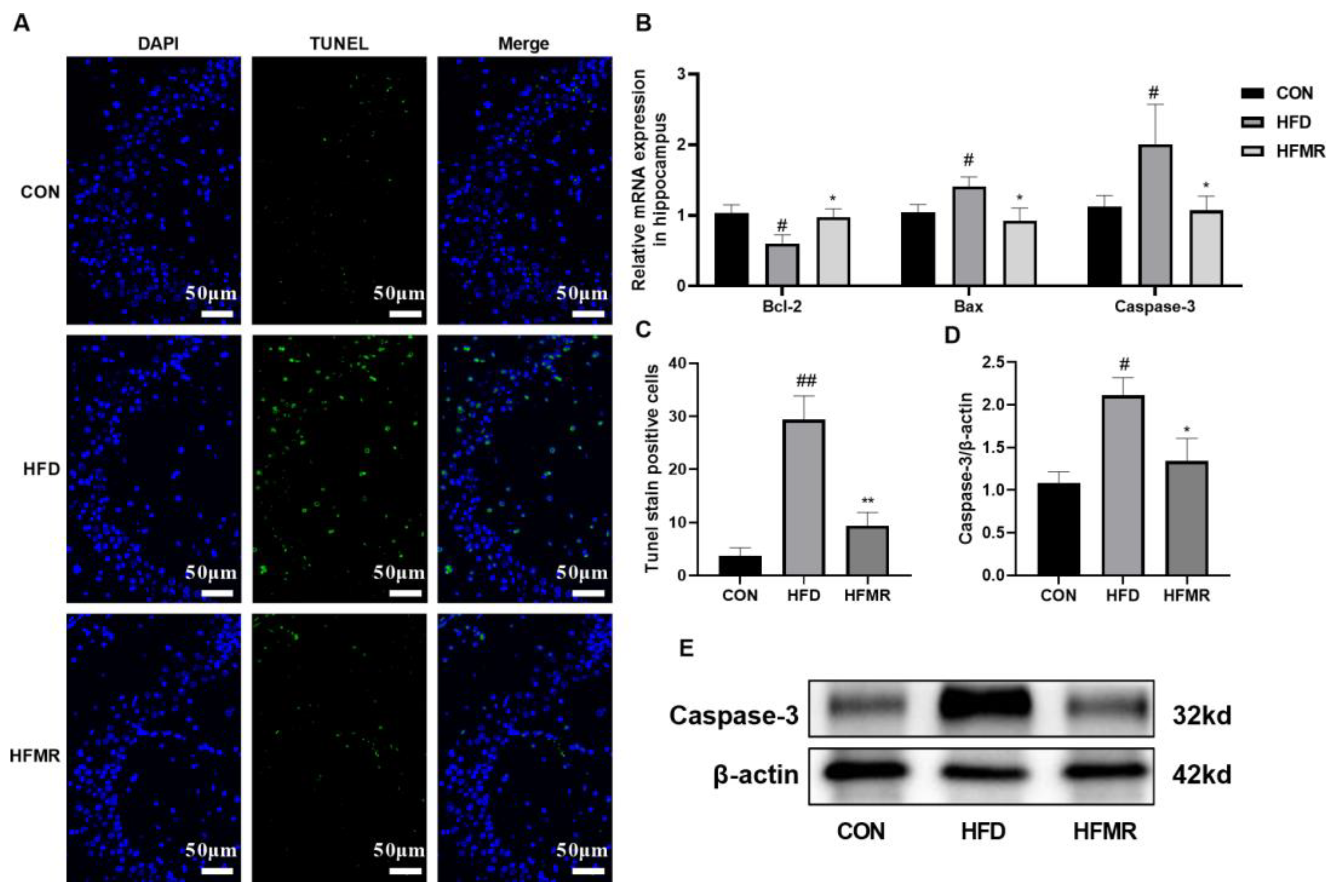 Nutrients 14 04503 g004
