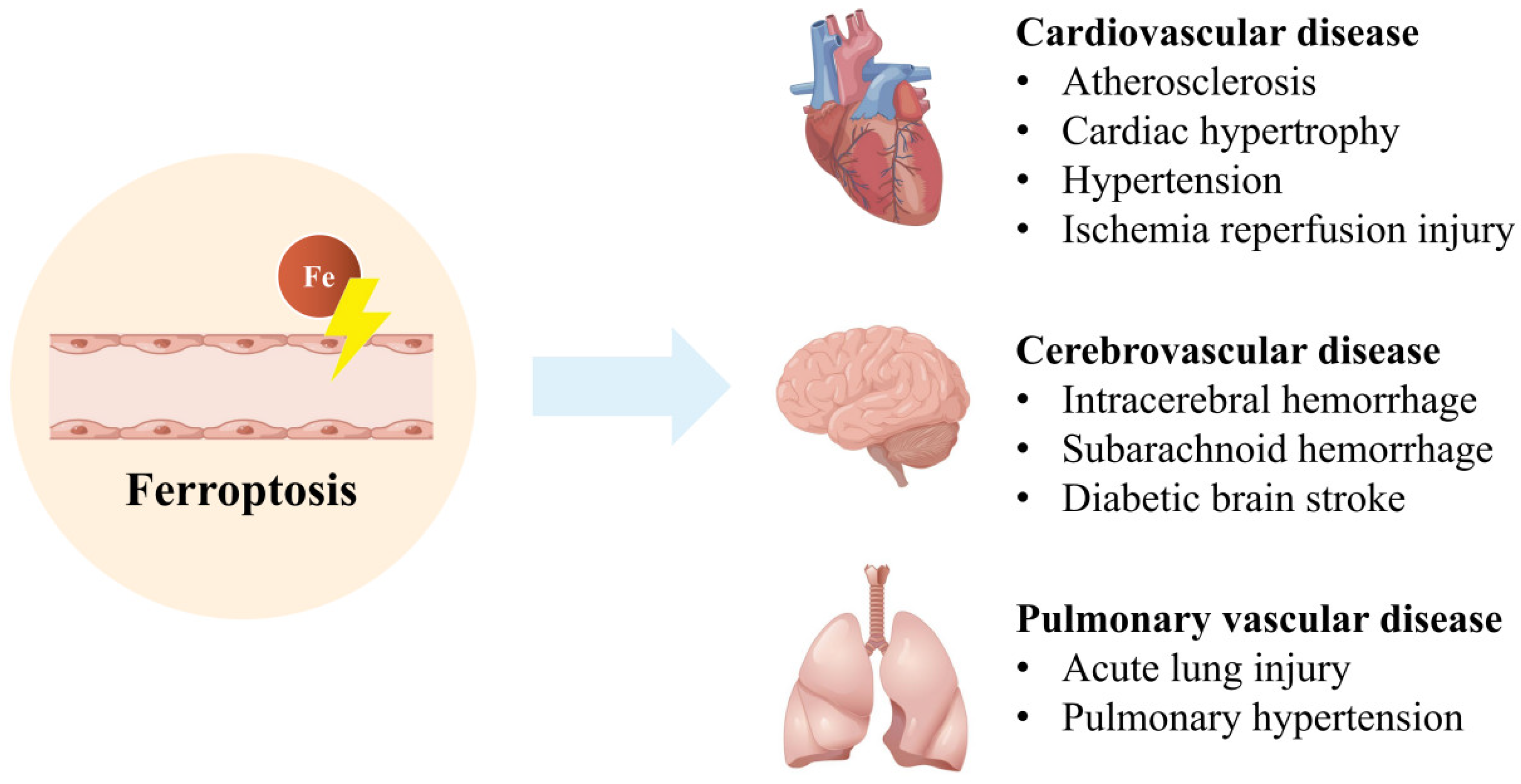 Nutrients 14 04506 g002