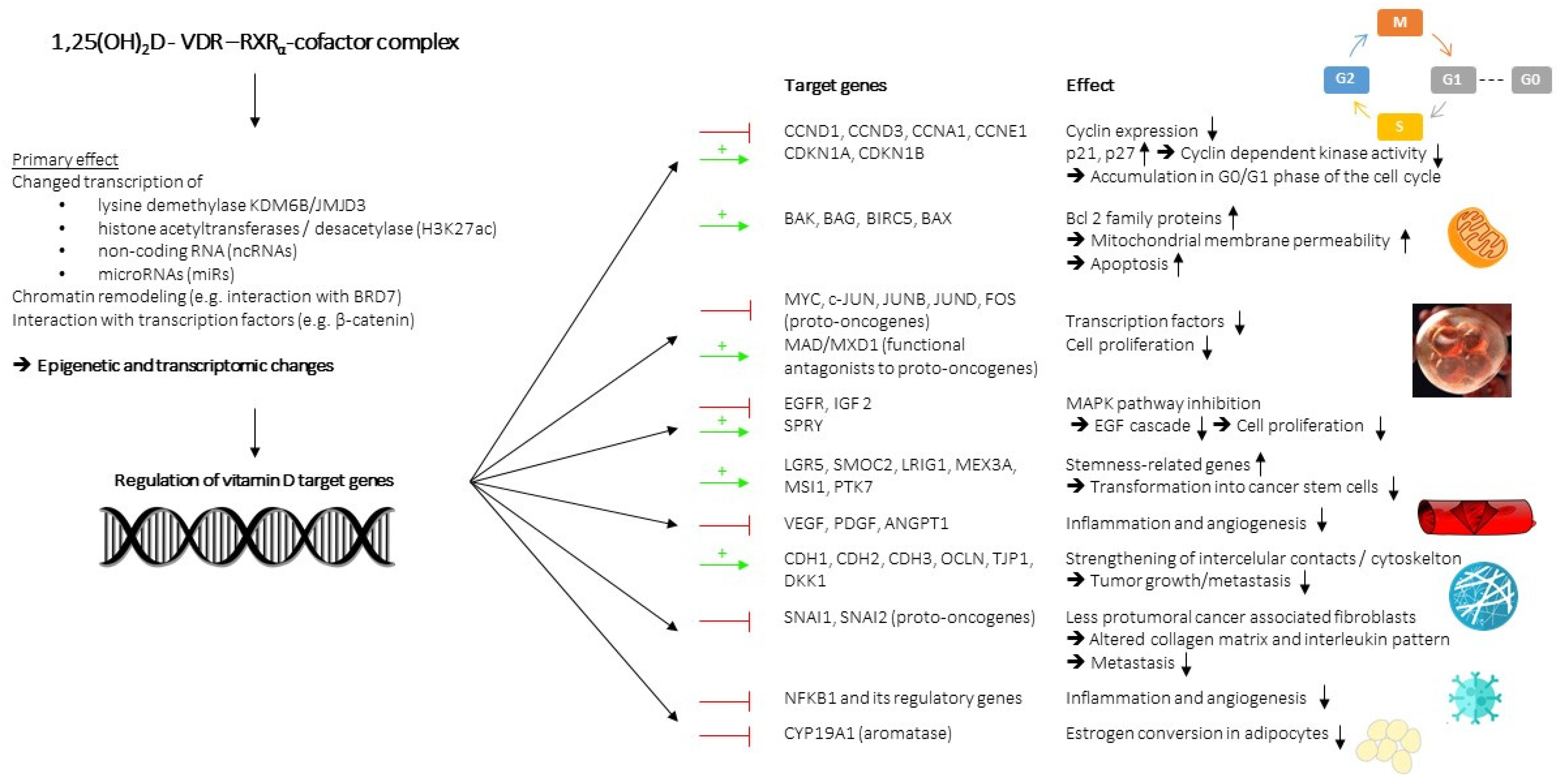 Nutrients 14 04512 g002