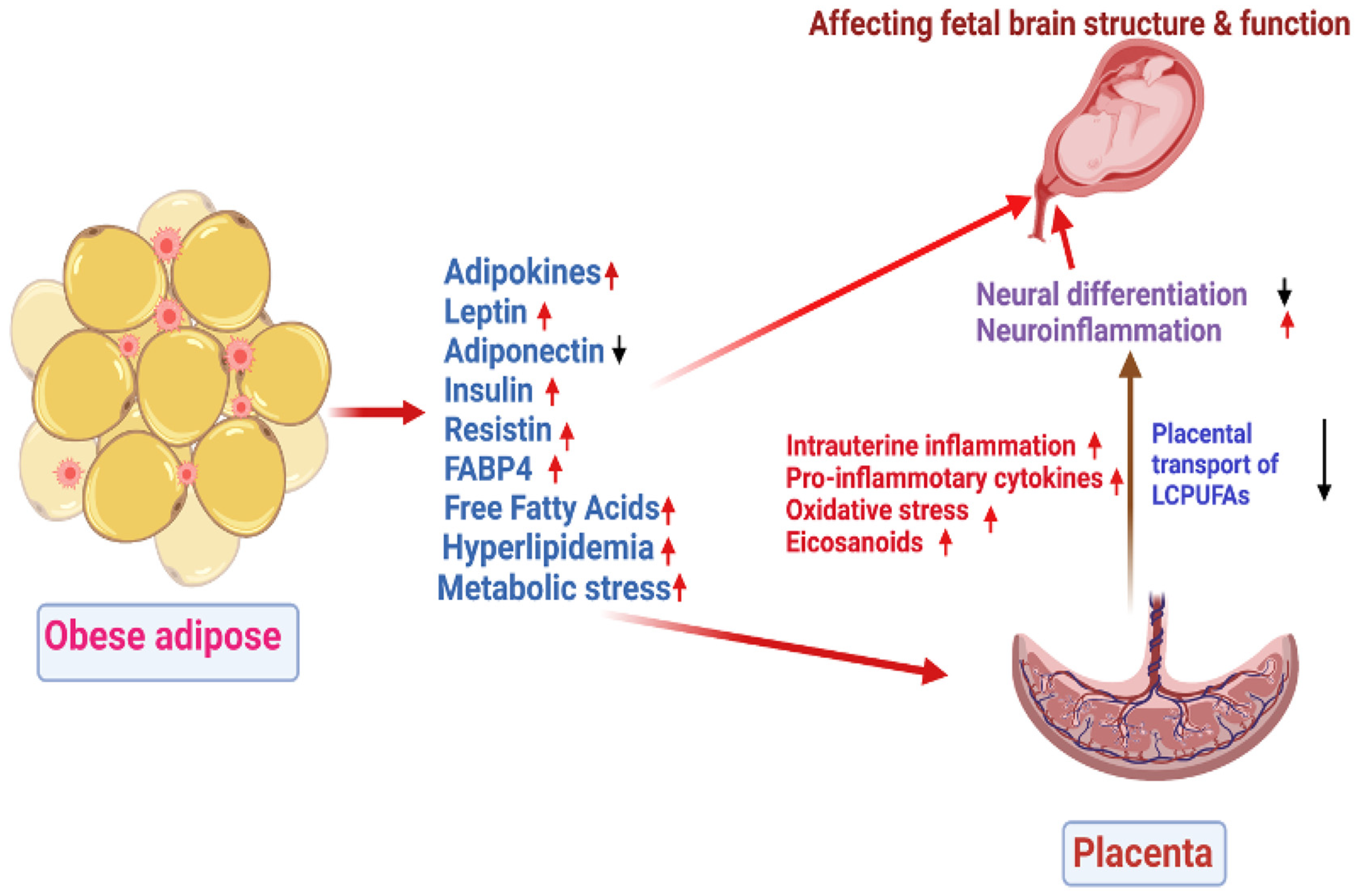 Nutrients 14 04515 g001