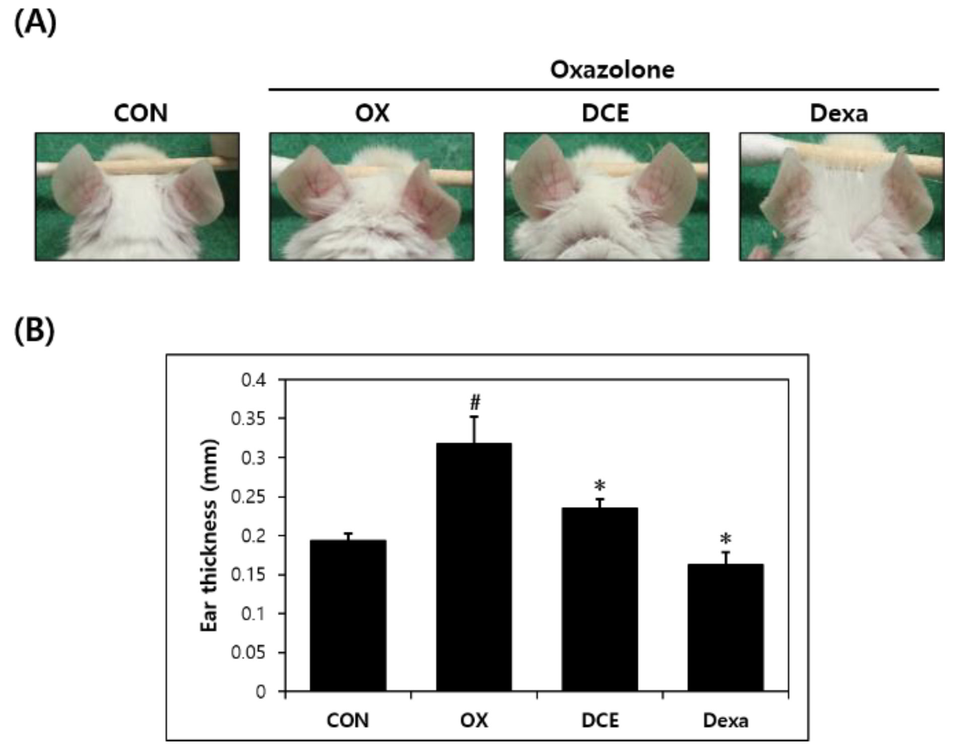 Nutrients 14 04521 g001